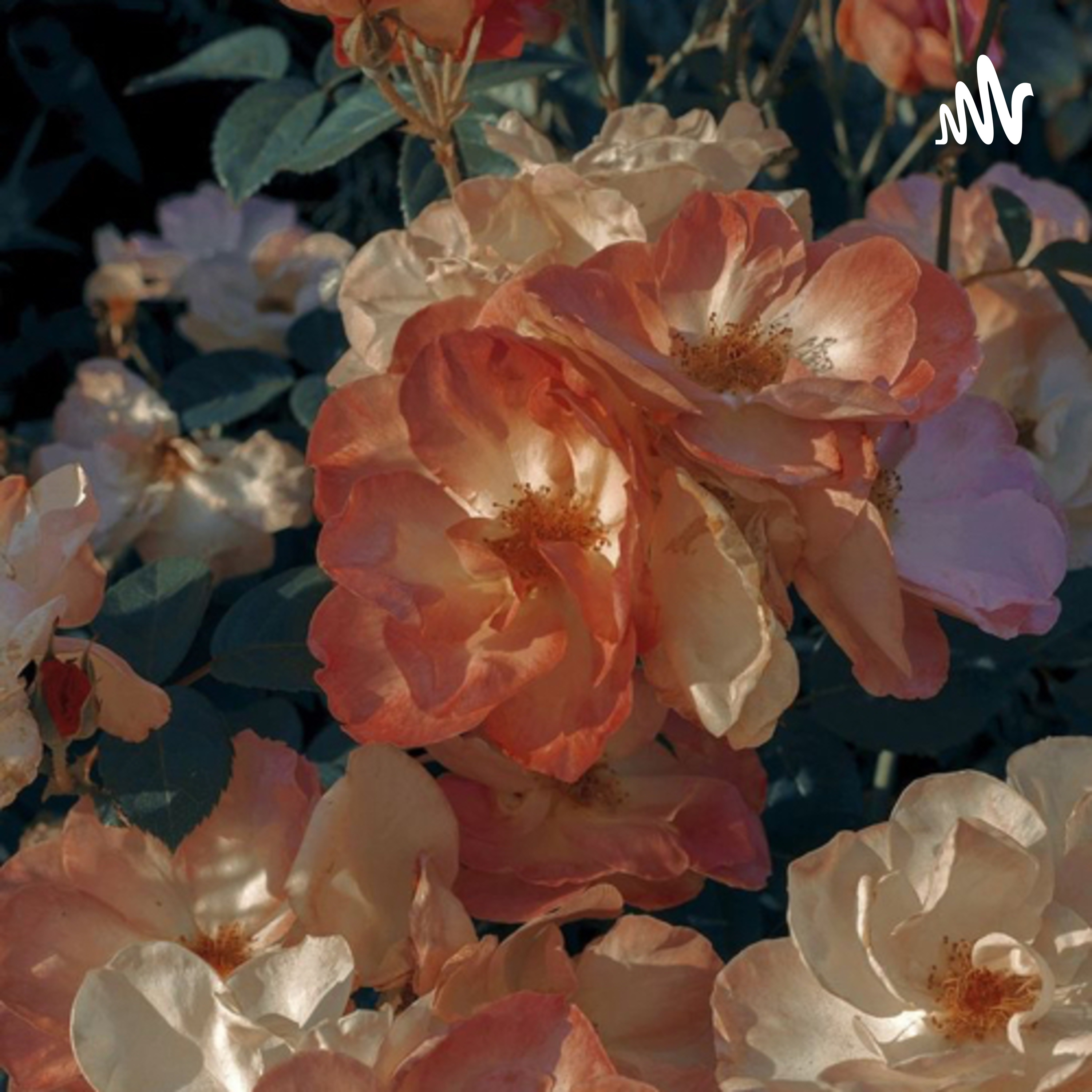 Mi vida durante la pandemia