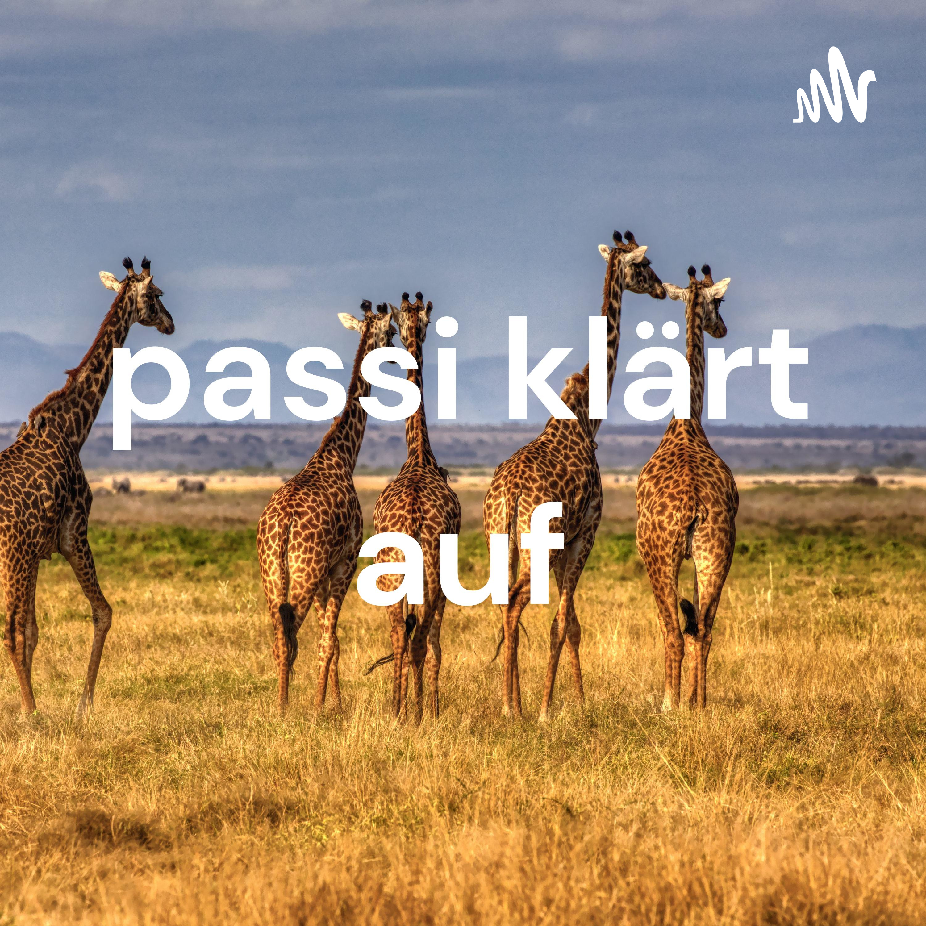 passi klärt auf cover art