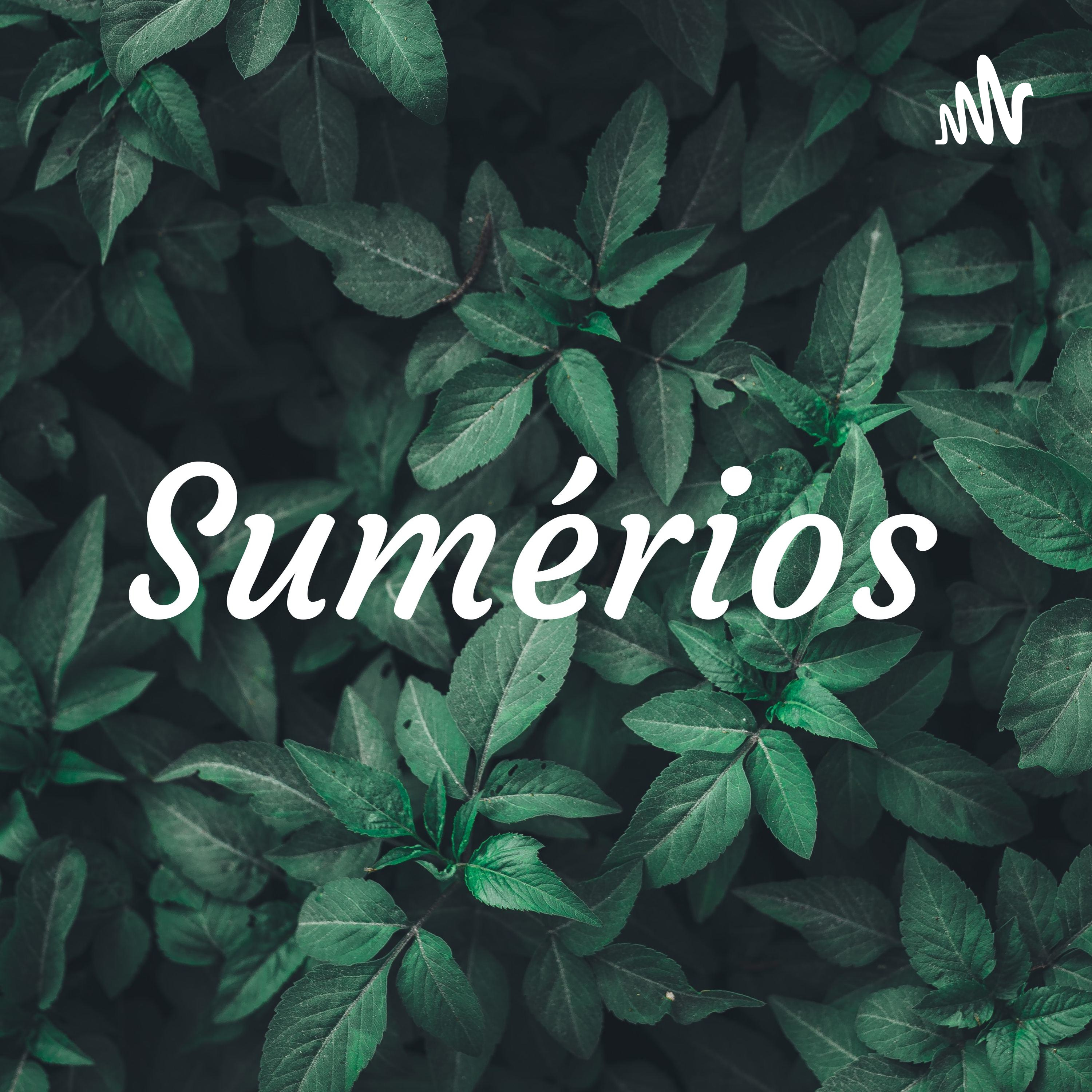 Sumérios 