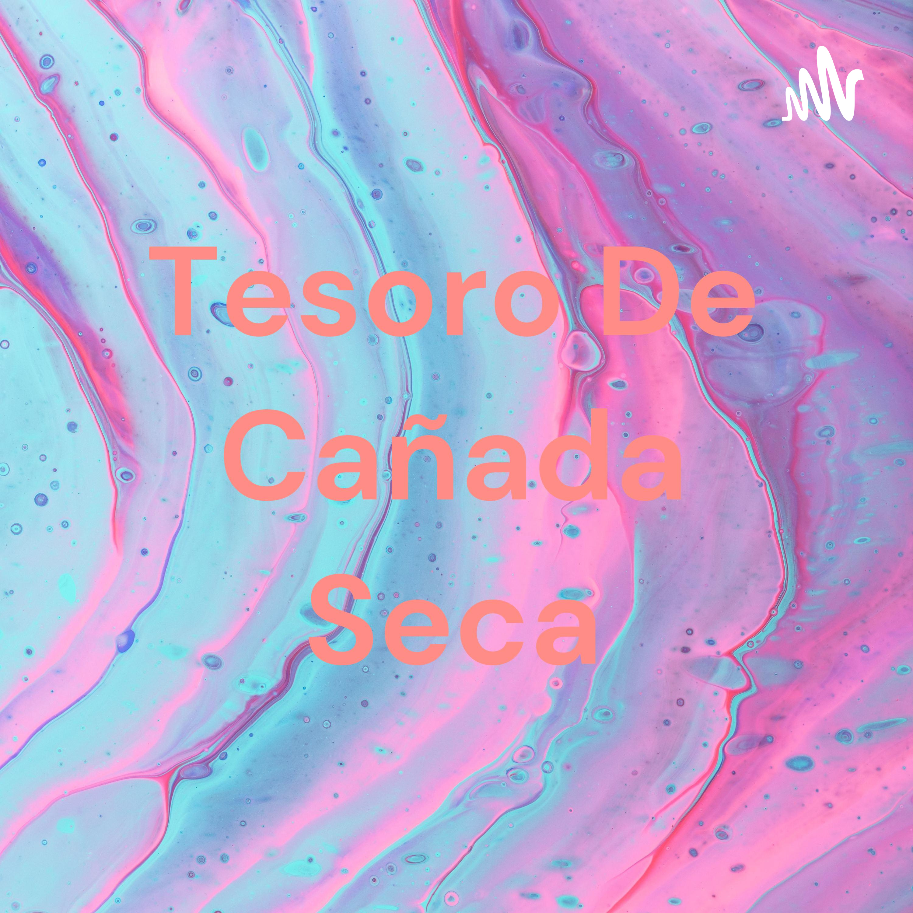Tesoro De Cañada Seca cover art
