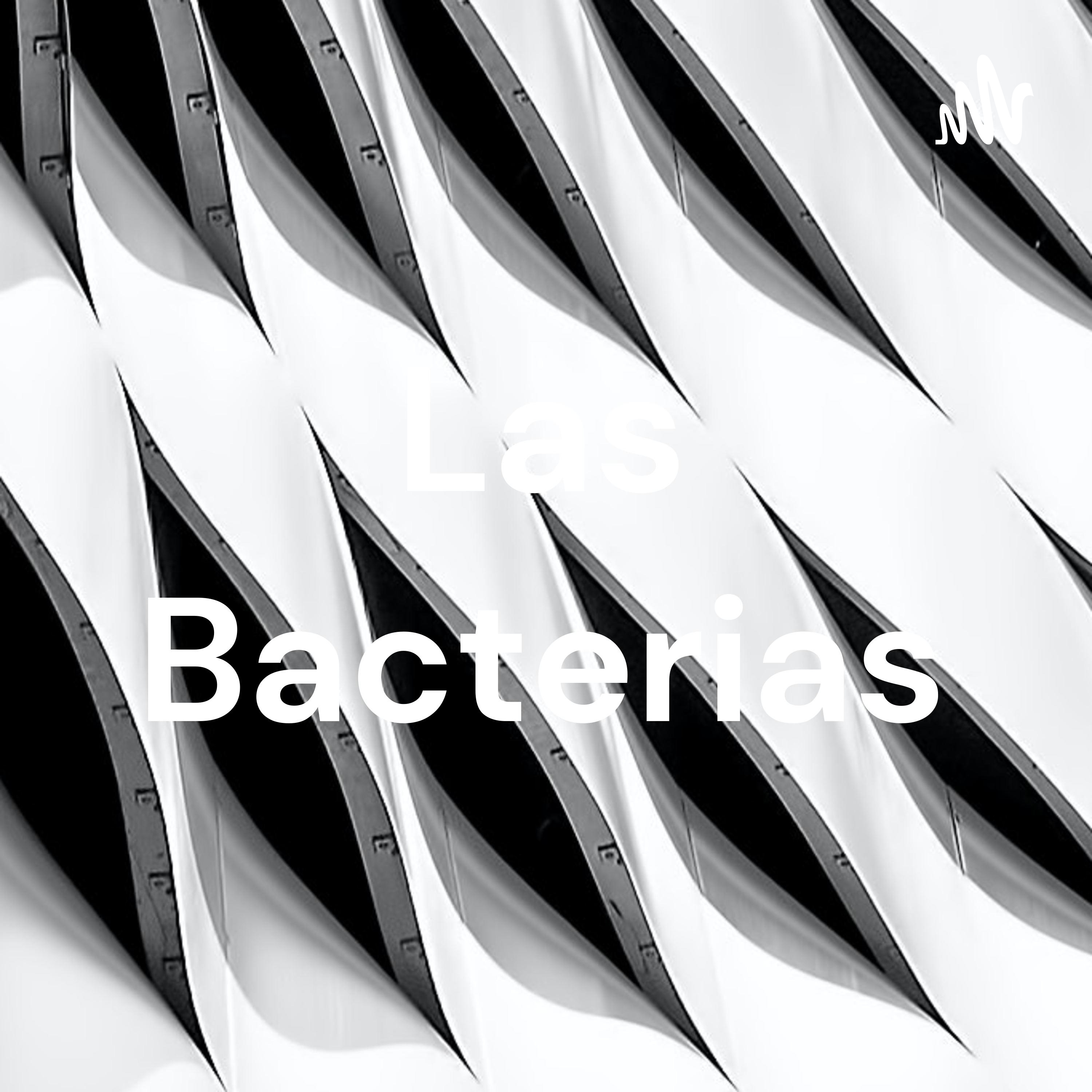 Las Bacterias