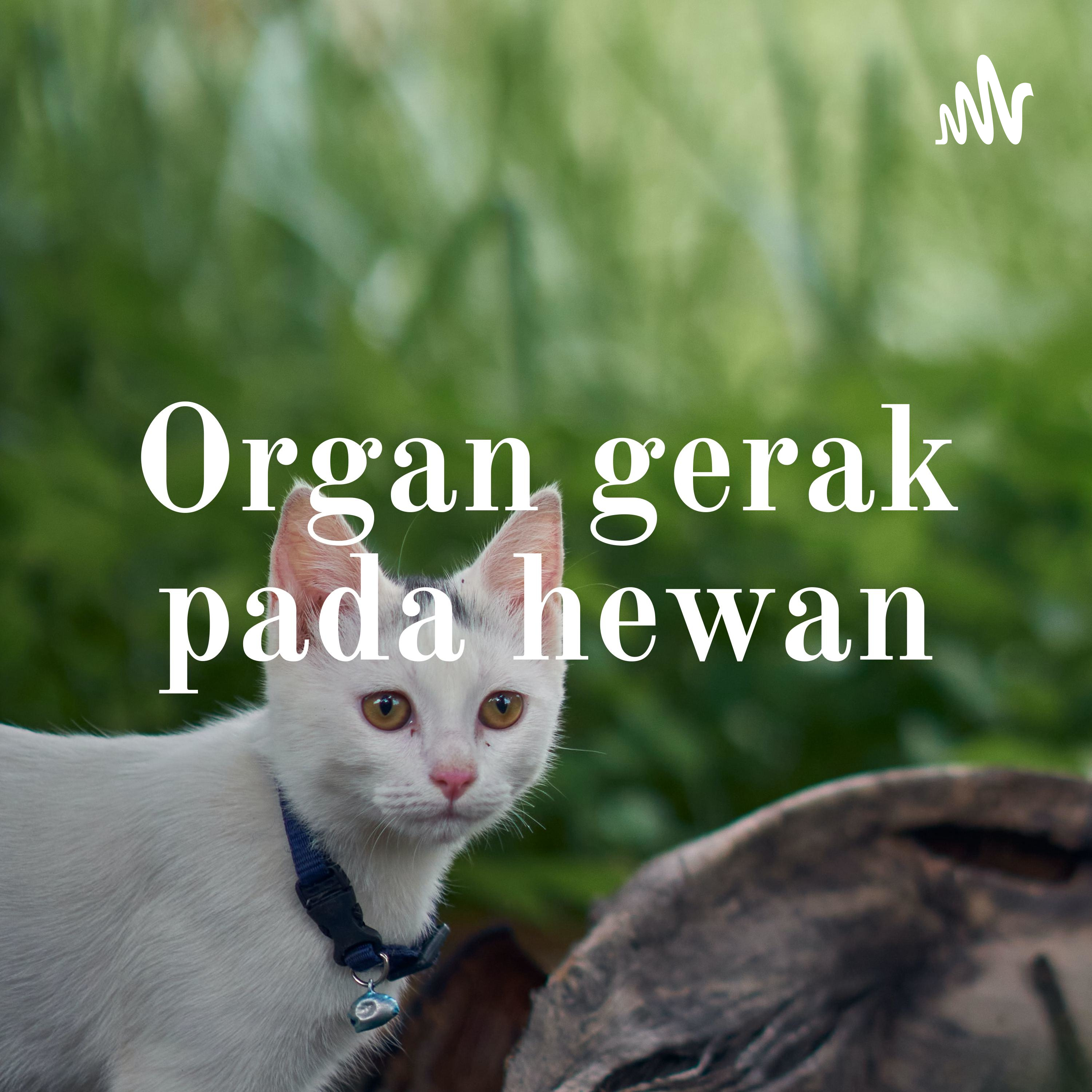 Organ gerak pada hewan cover art