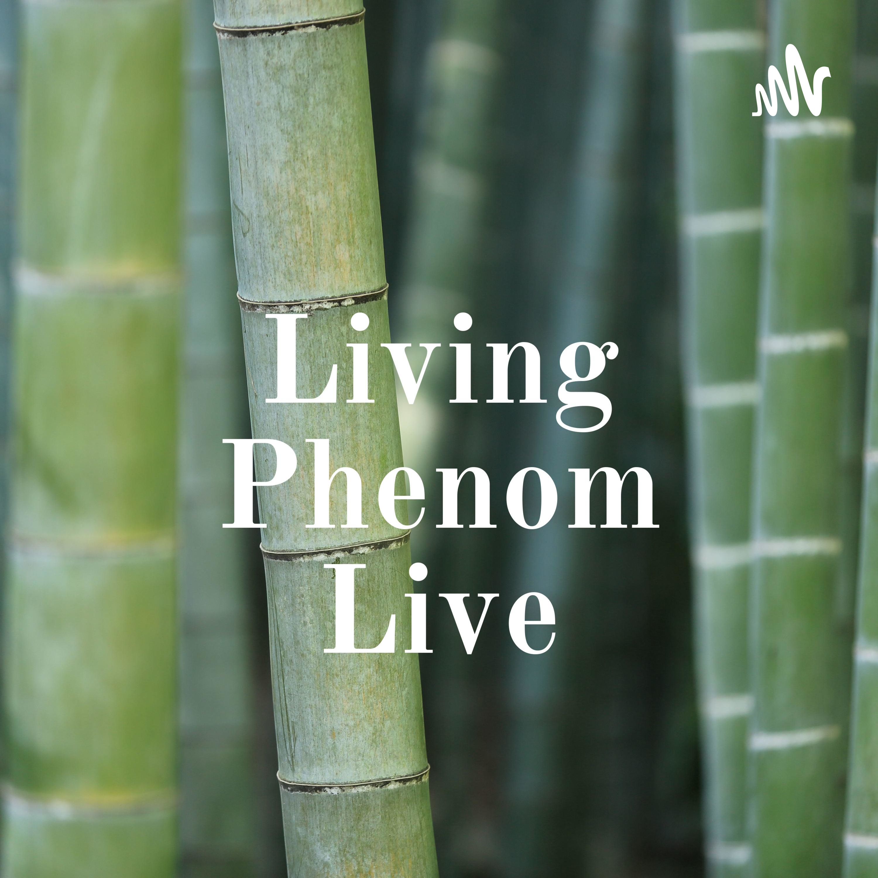 Living Phenom Live cover art