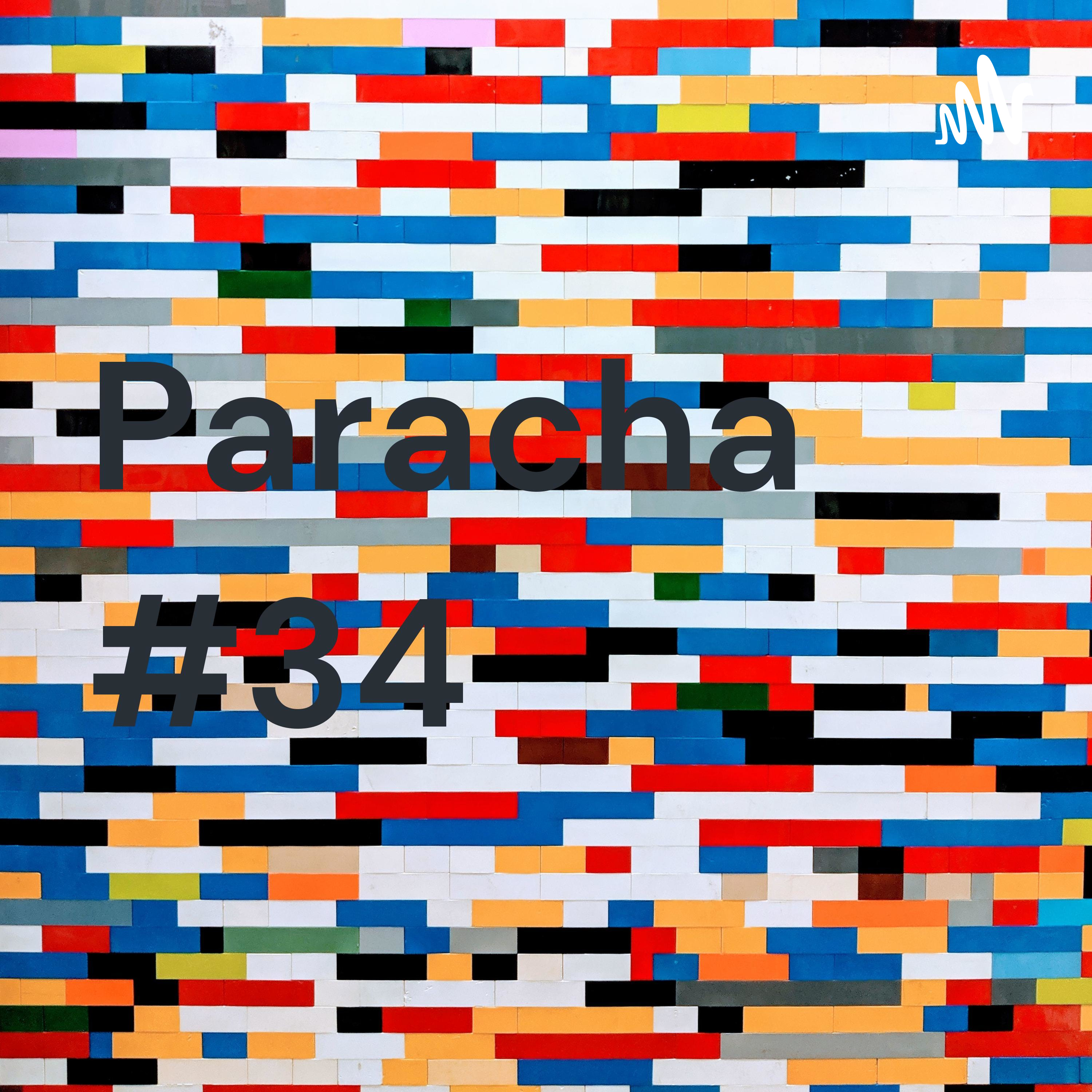 Paracha #34