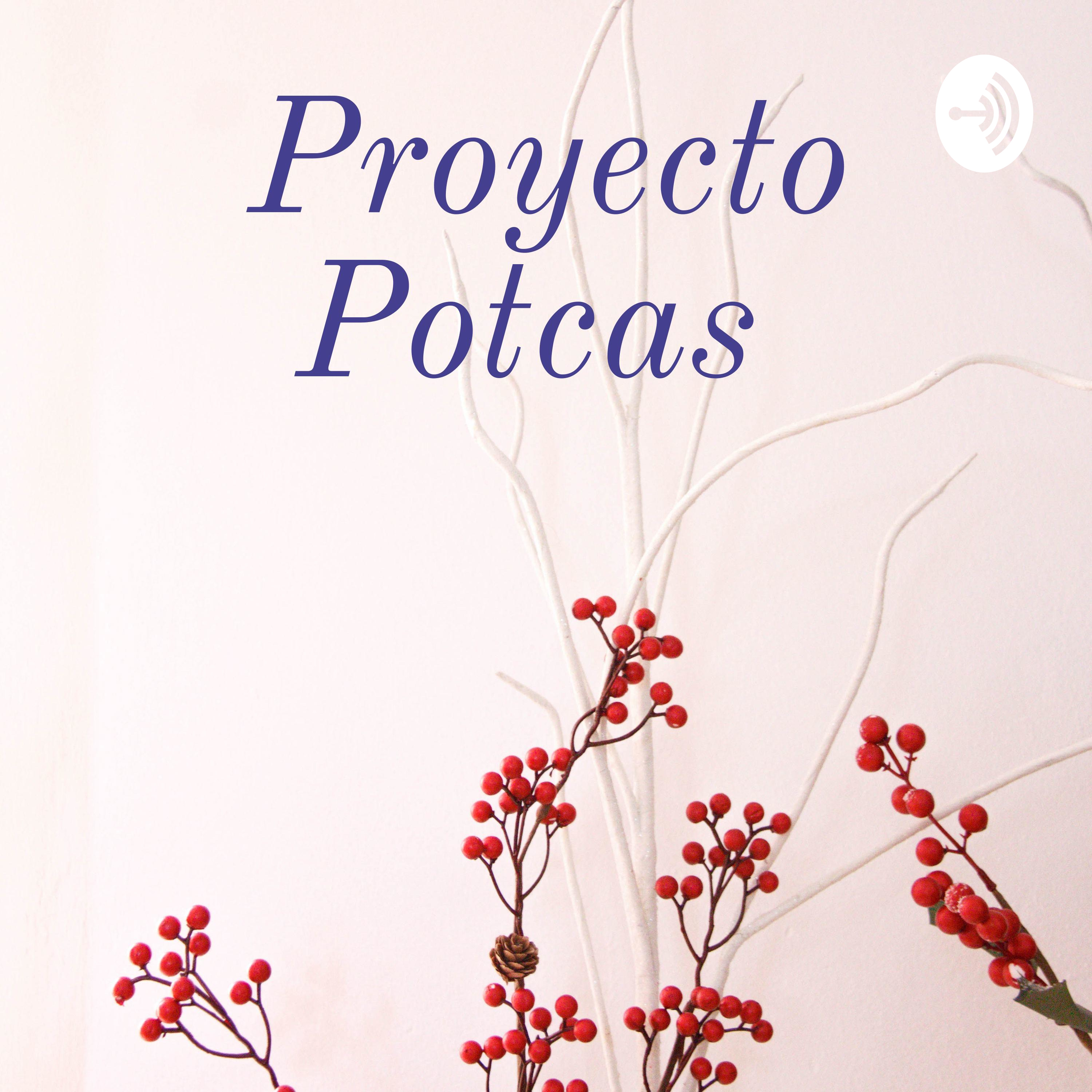 Proyecto Potcas