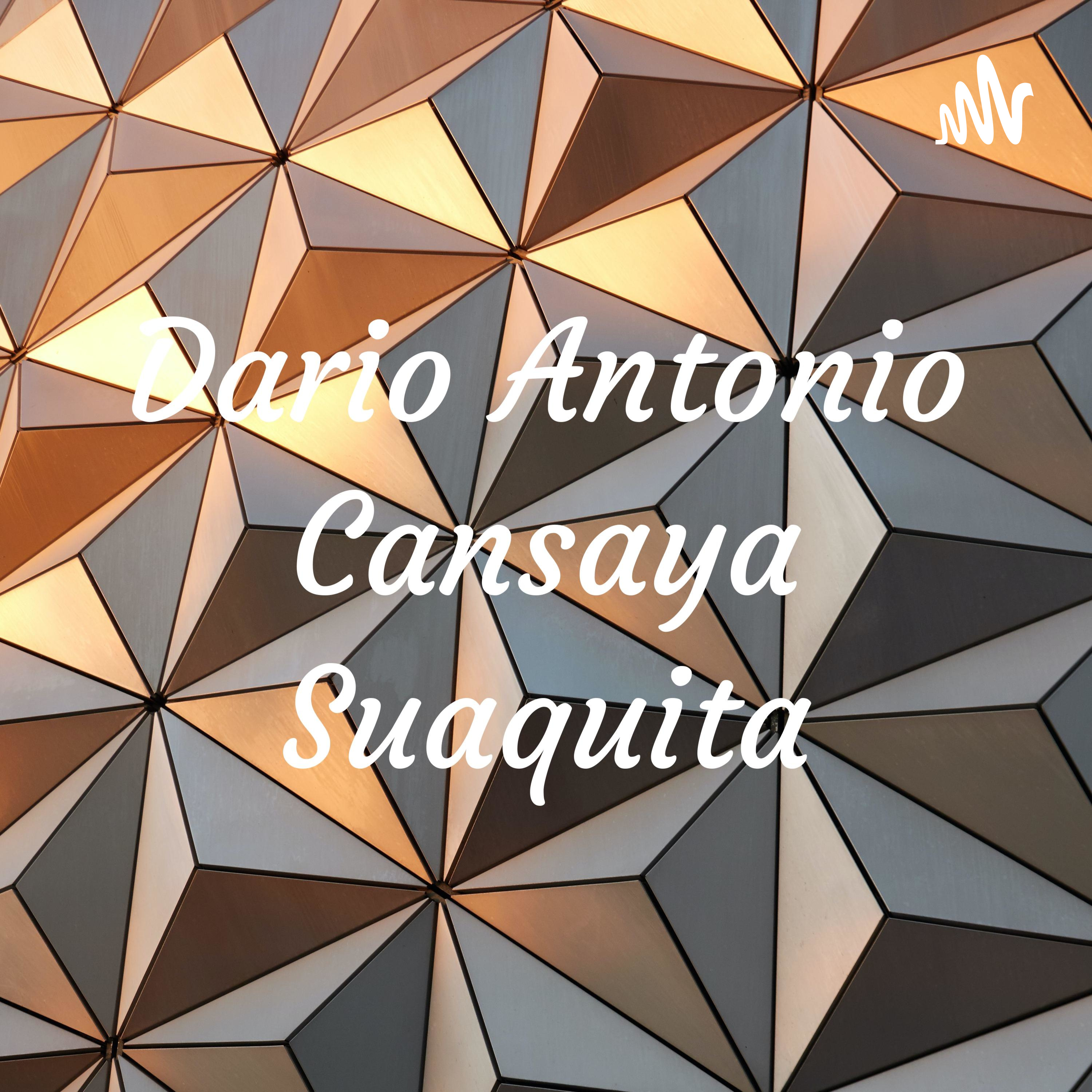 Dario Antonio Cansaya Suaquita cover art