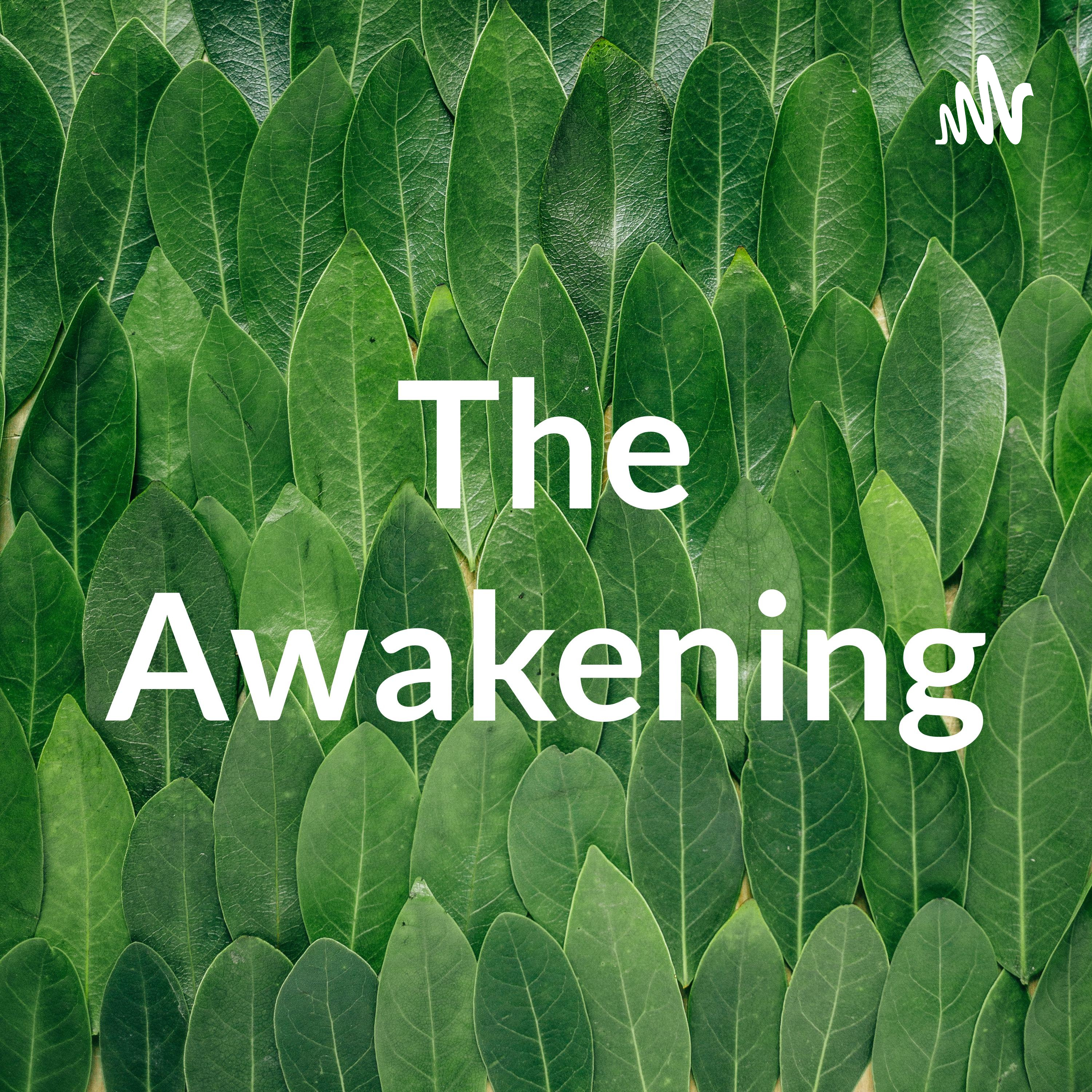 The Awakening Gretchen DeMasi