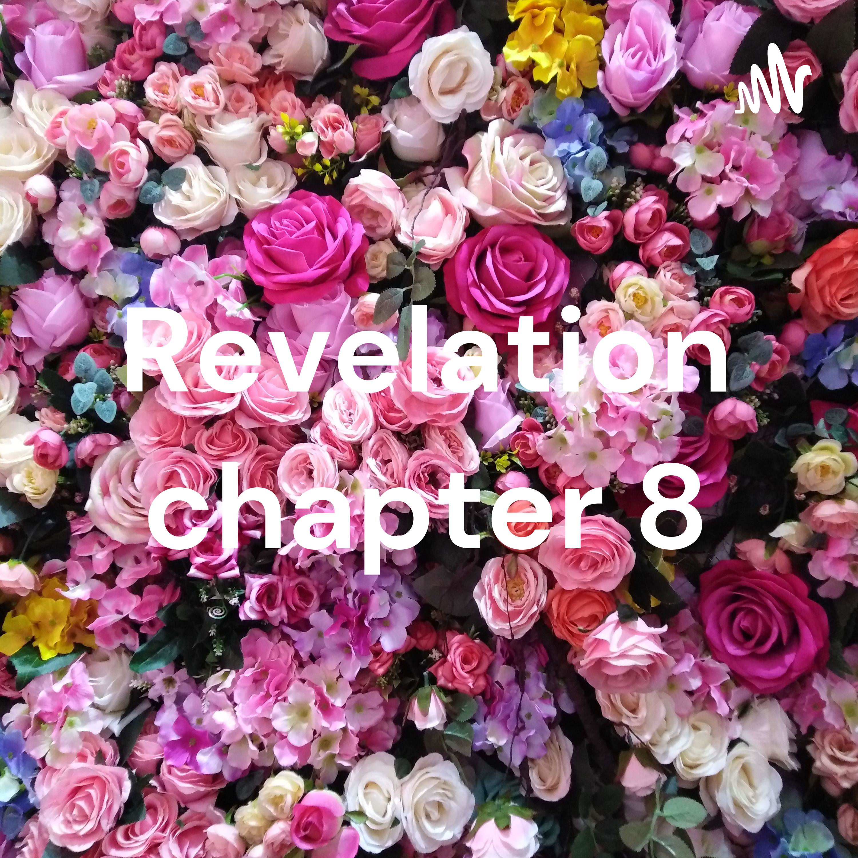 Revelation chapter 8