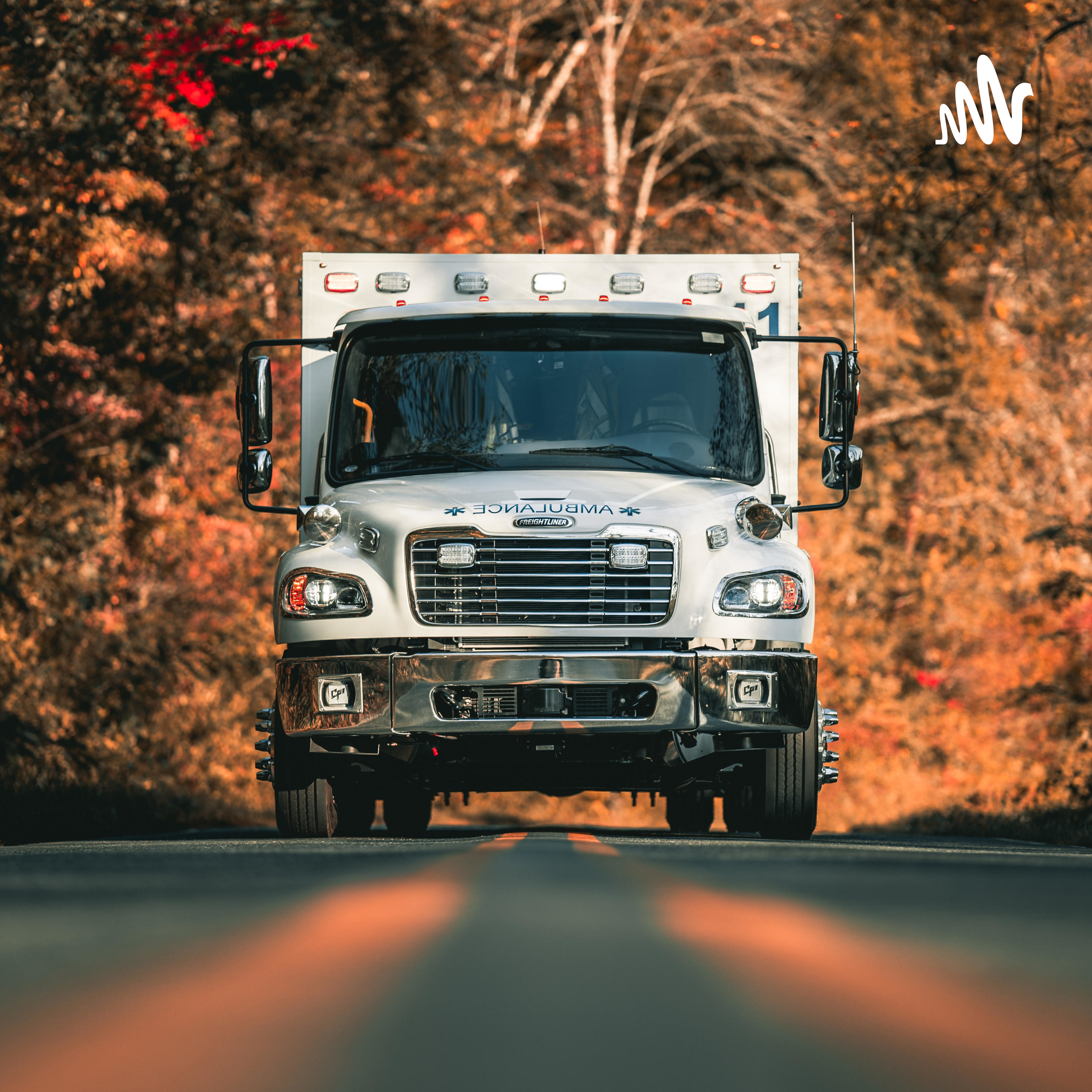 Chubby Medic and Friends