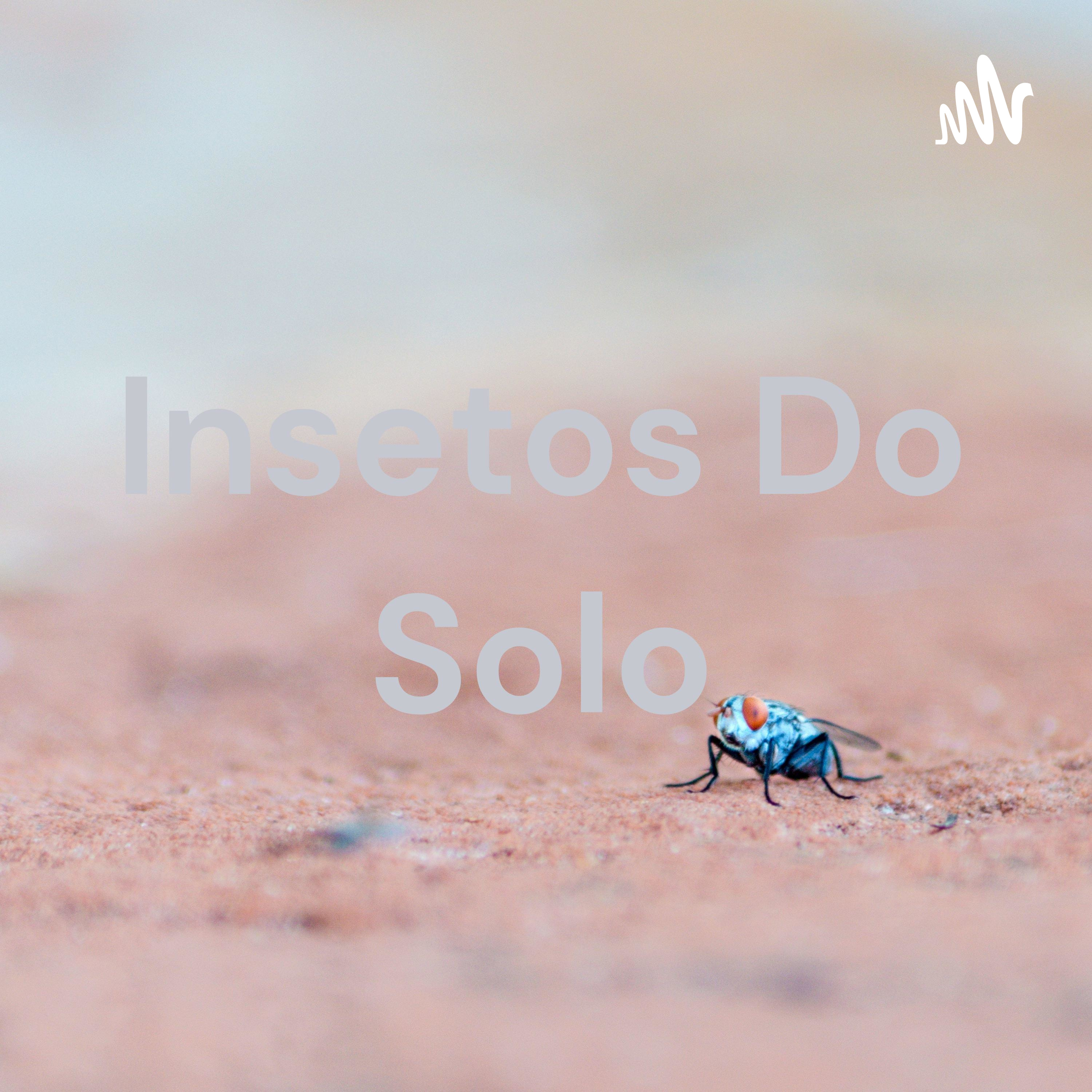Insetos Do Solo