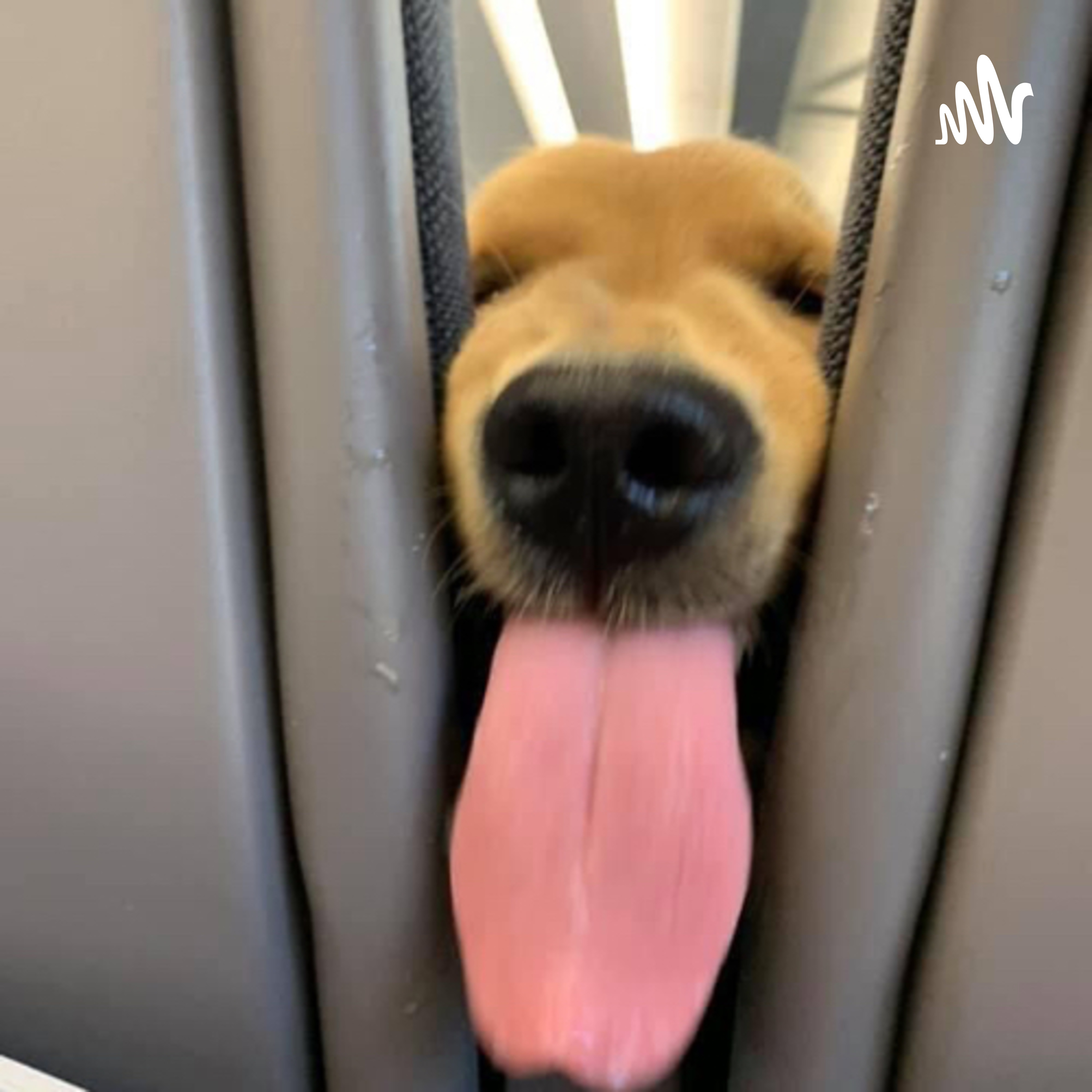 Obligaciones civiles