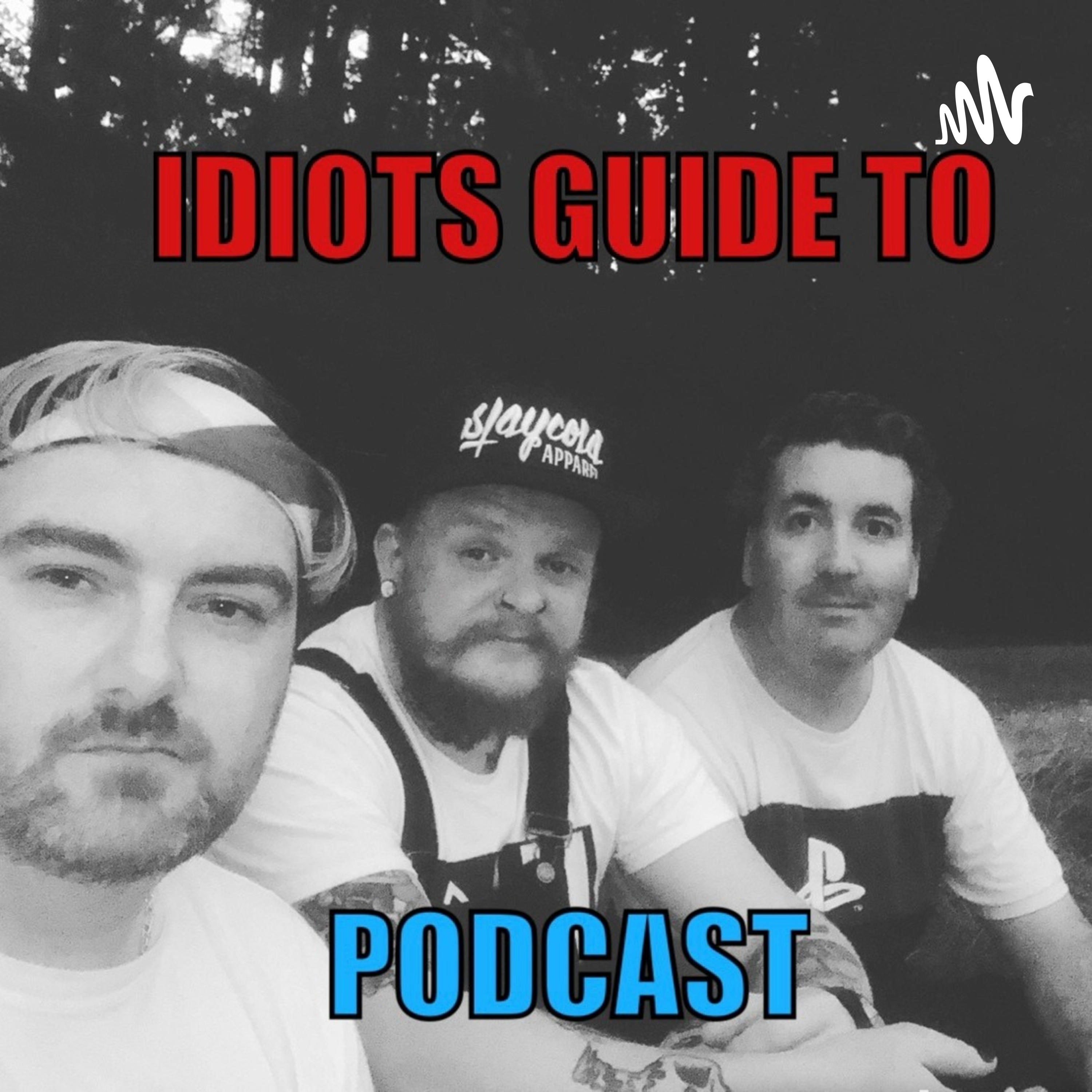 Idiots Guide To cover art