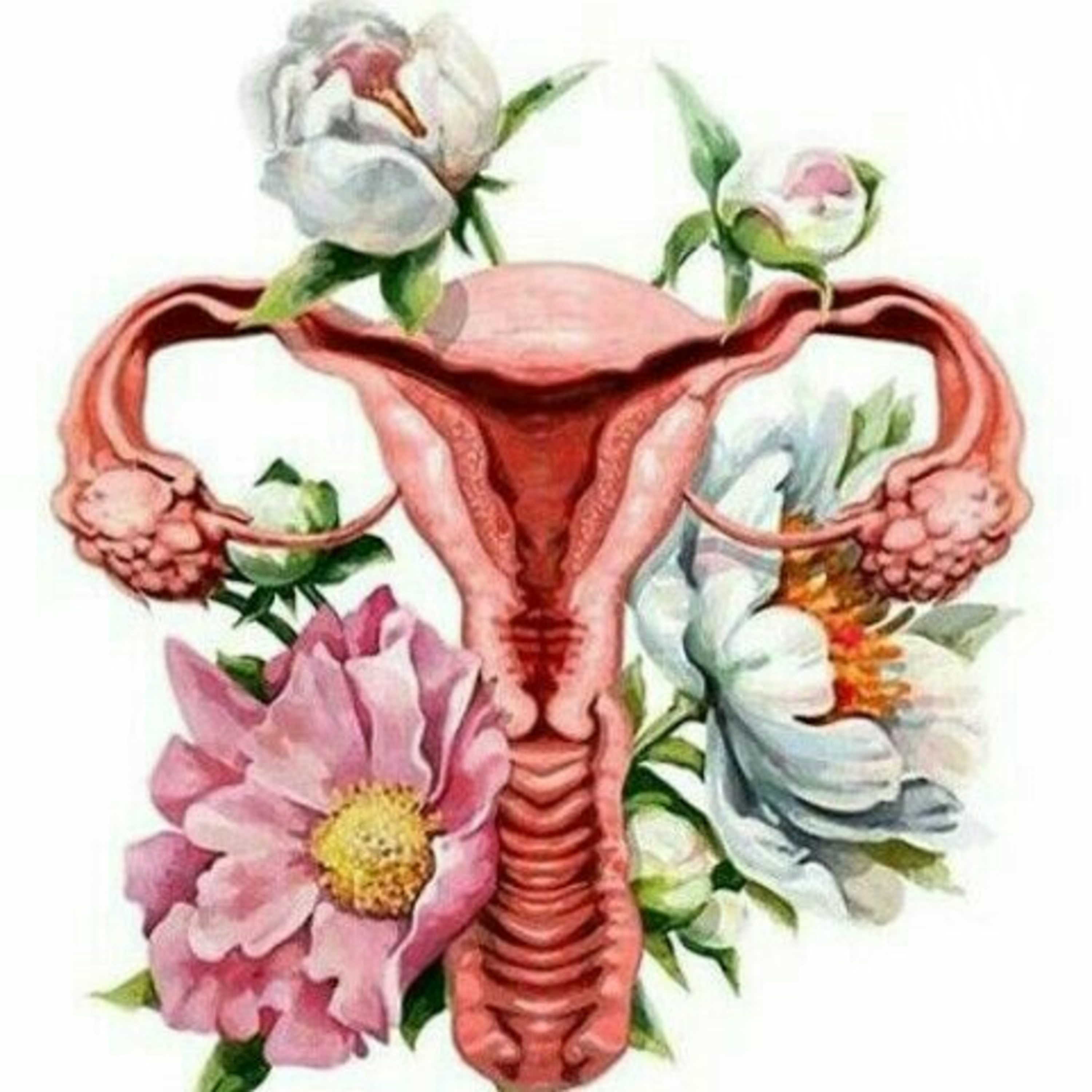 مع نَرَرْ cover art