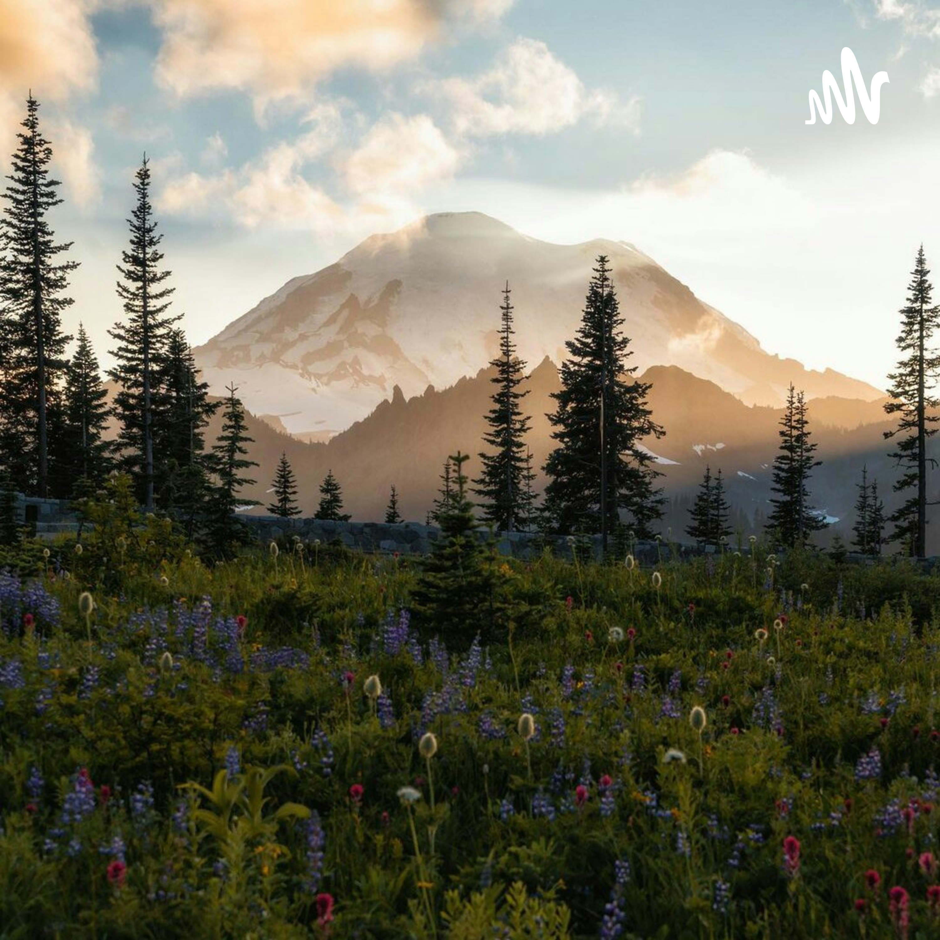 The First, But Not The Last cover art