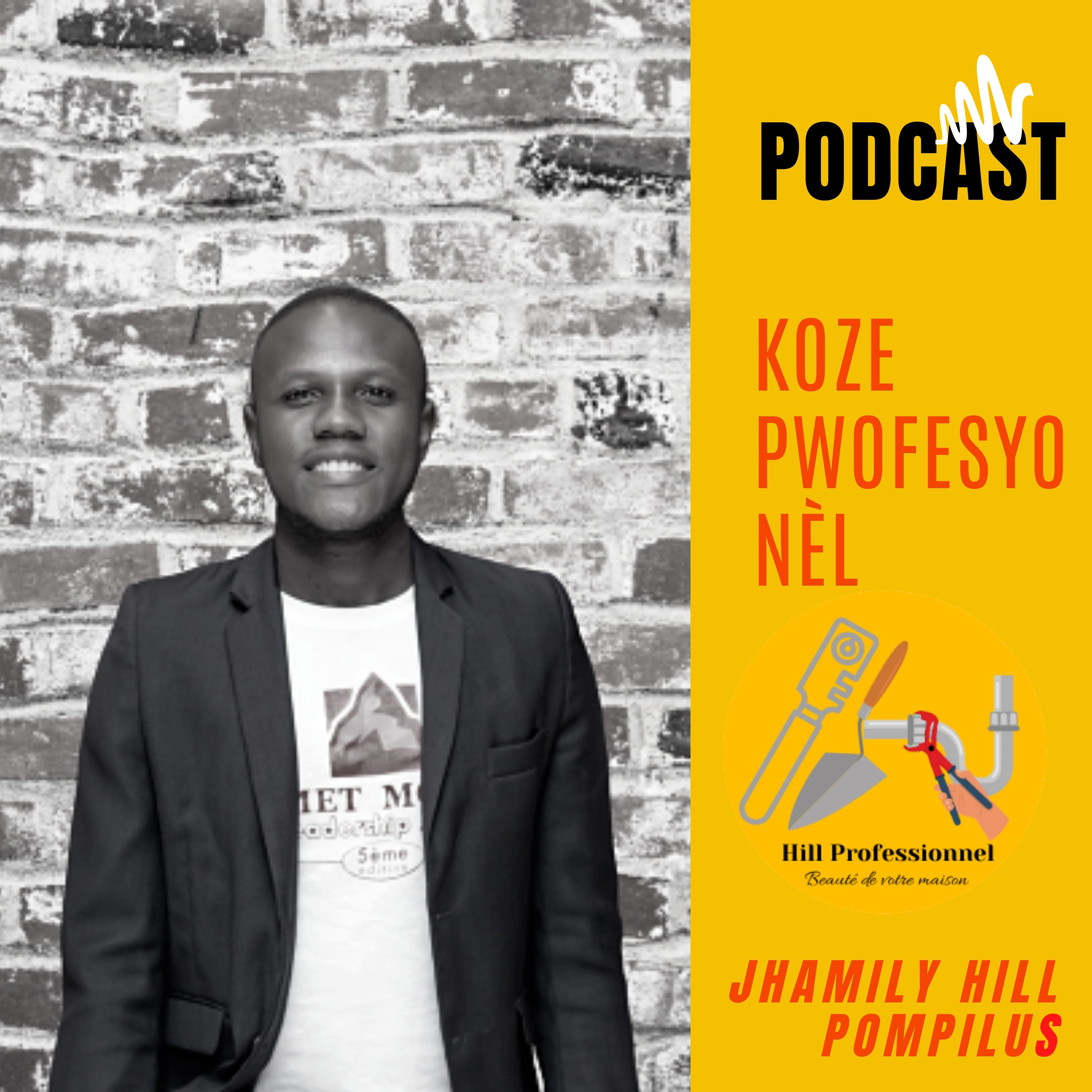 Koze Pwofesyonèl