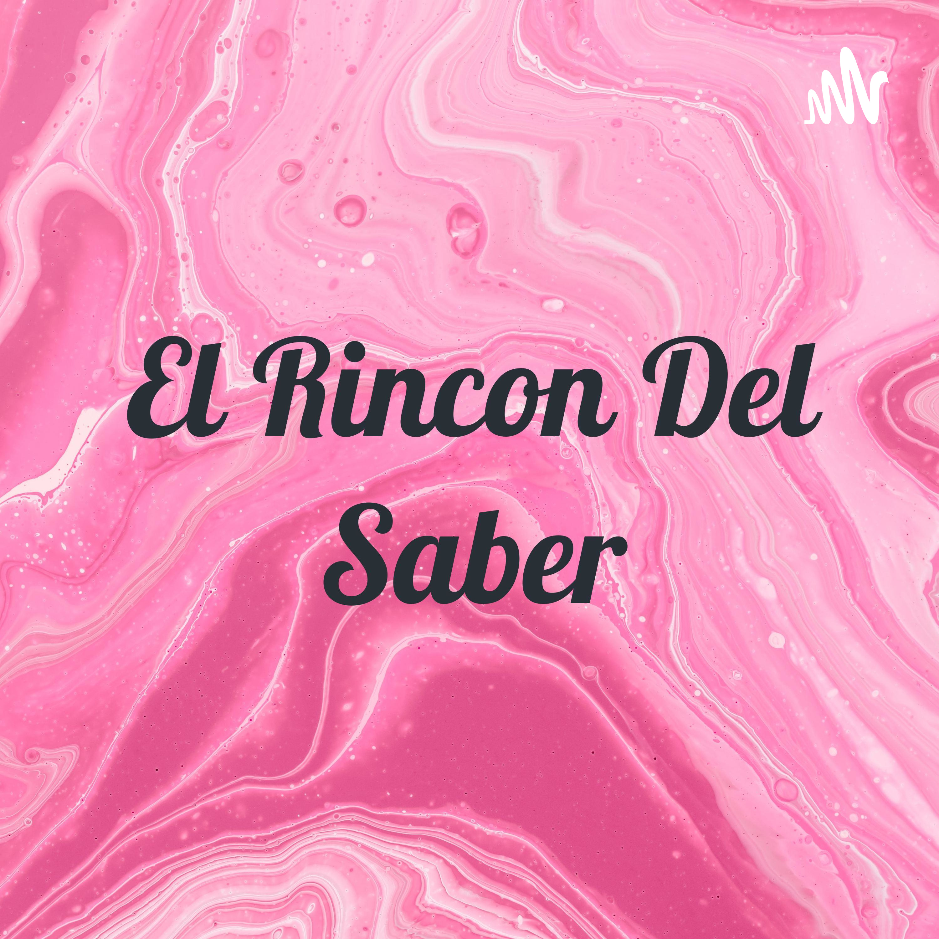 El Rincon Del Saber