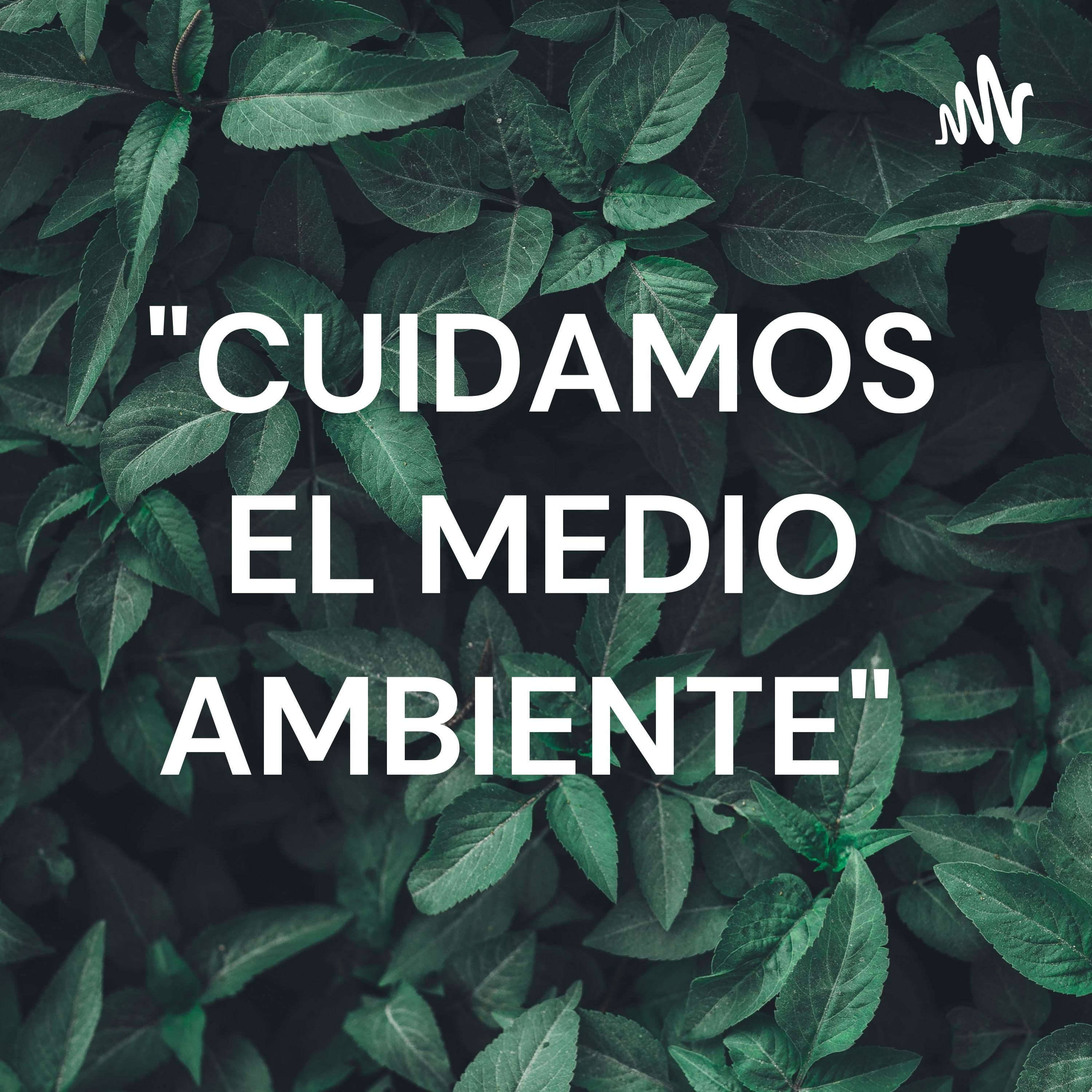 "CUIDAMOS EL MEDIO AMBIENTE"