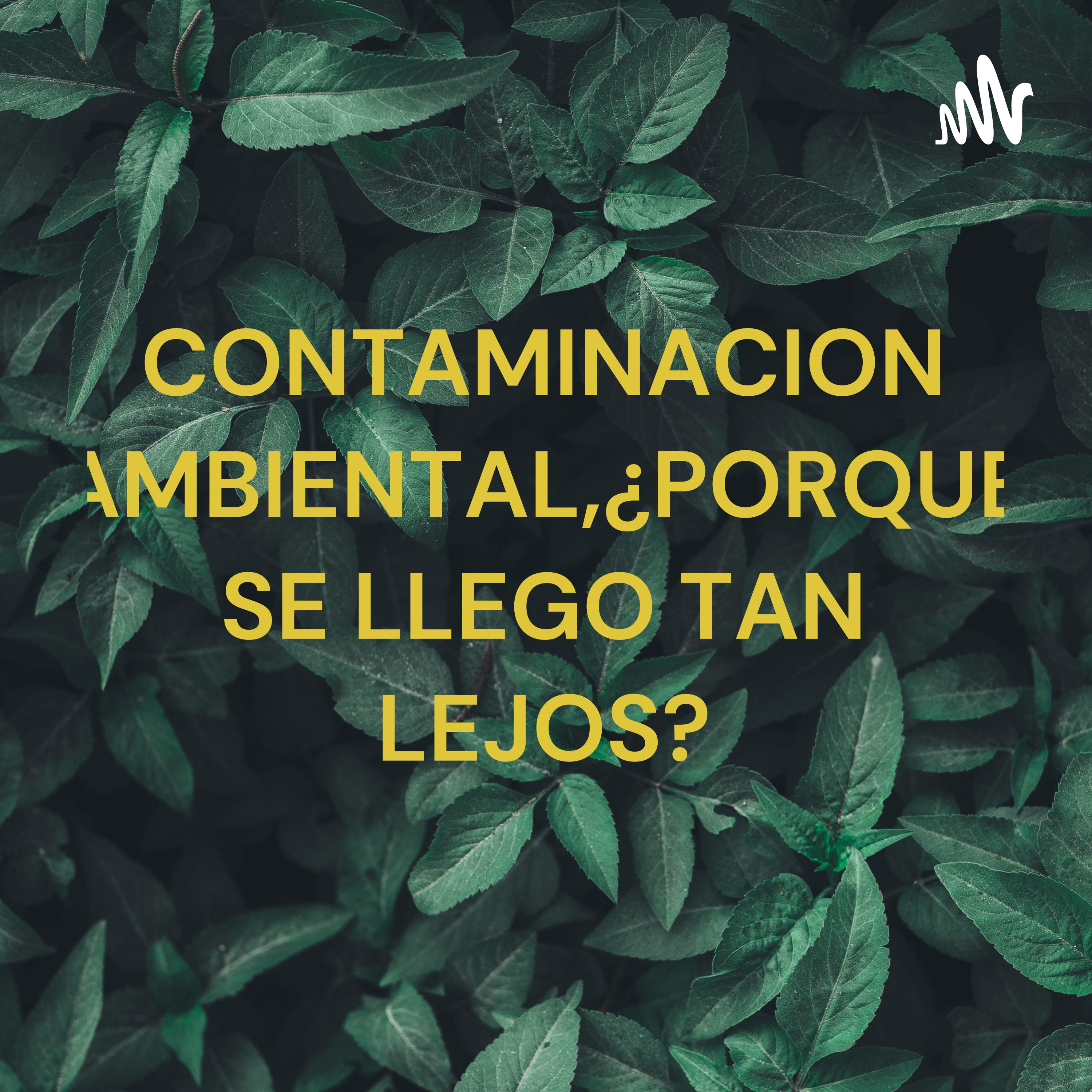 CONTAMINACION AMBIENTAL,¿PORQUE SE LLEGO TAN LEJOS? cover art