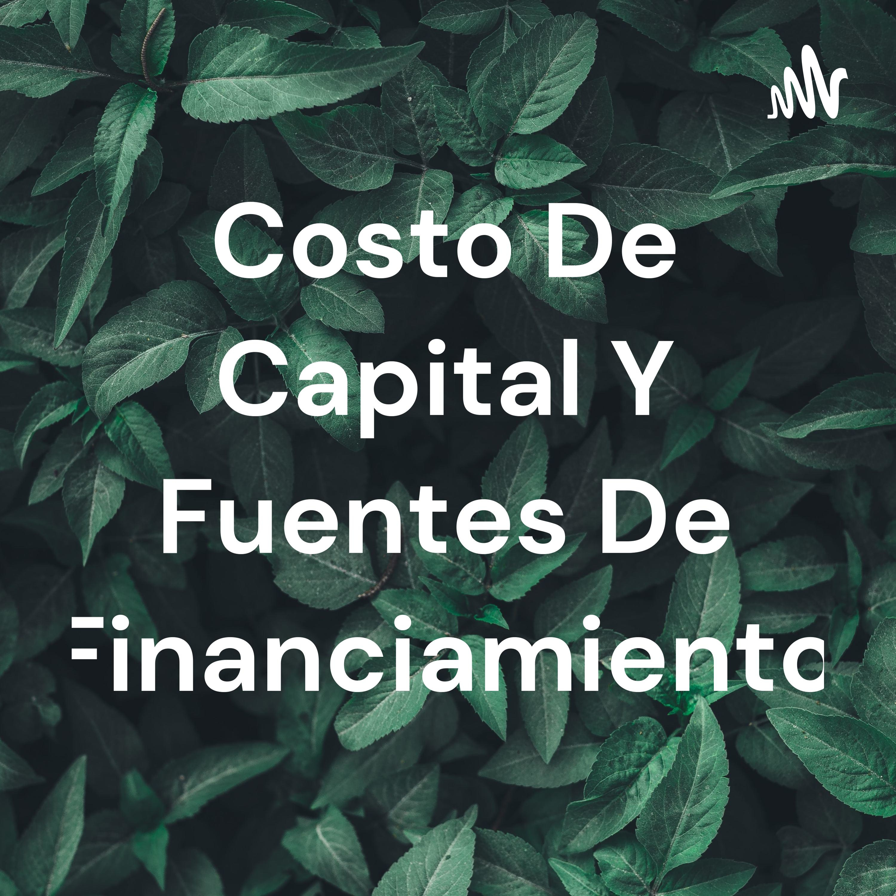Costo De Capital Y Fuentes De Financiamiento