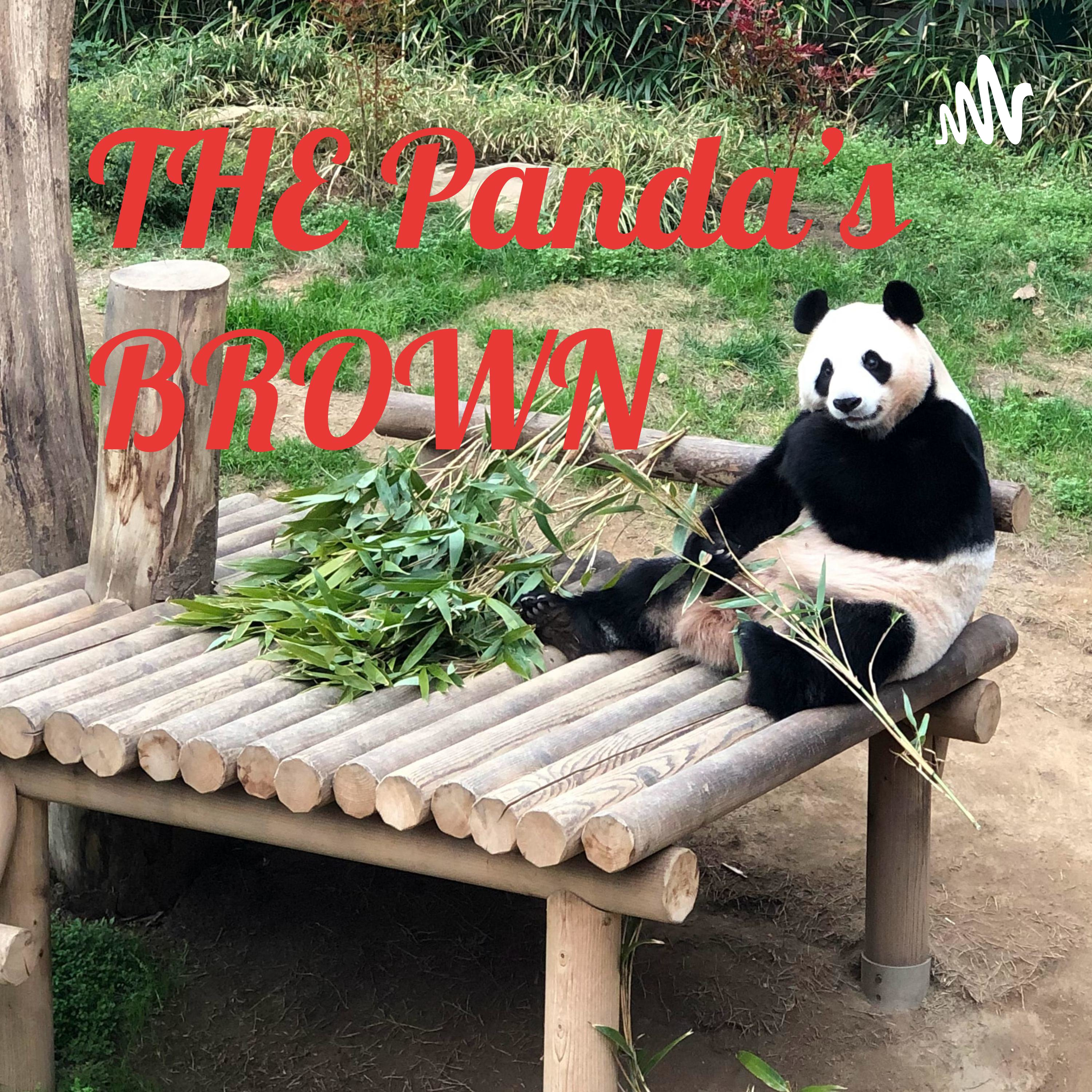 THE Panda's BROWN