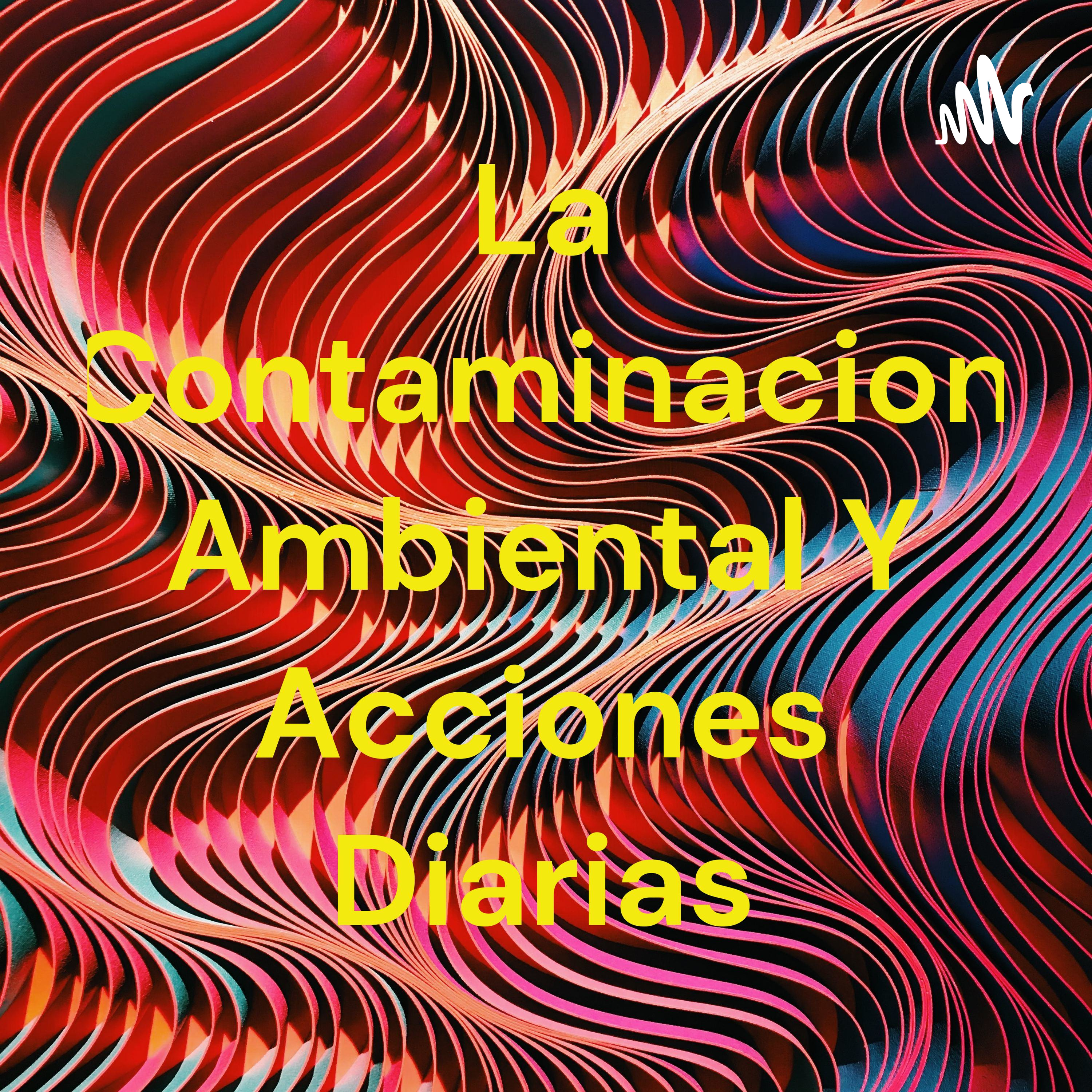 La Contaminacion Ambiental Y Acciones Diarias