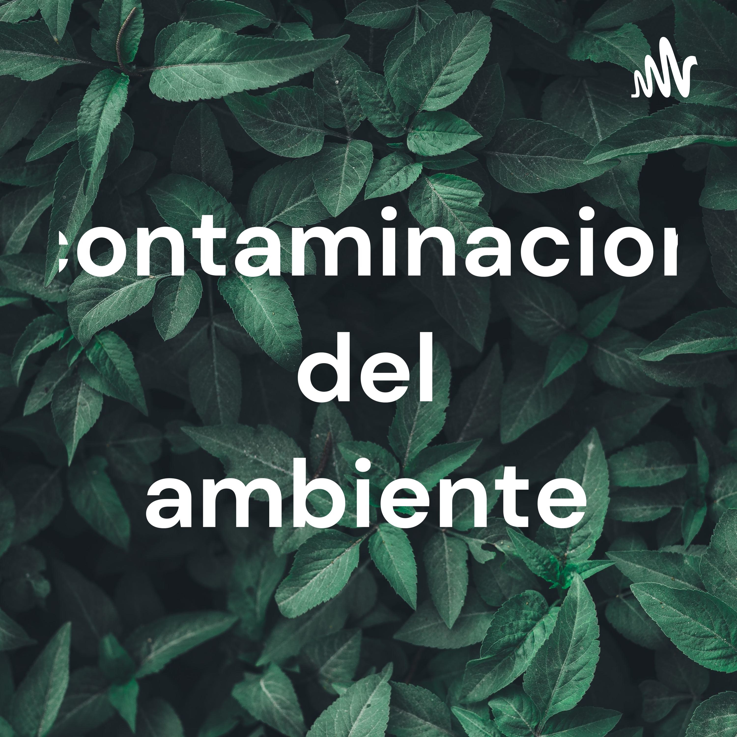 contaminacion del ambiente