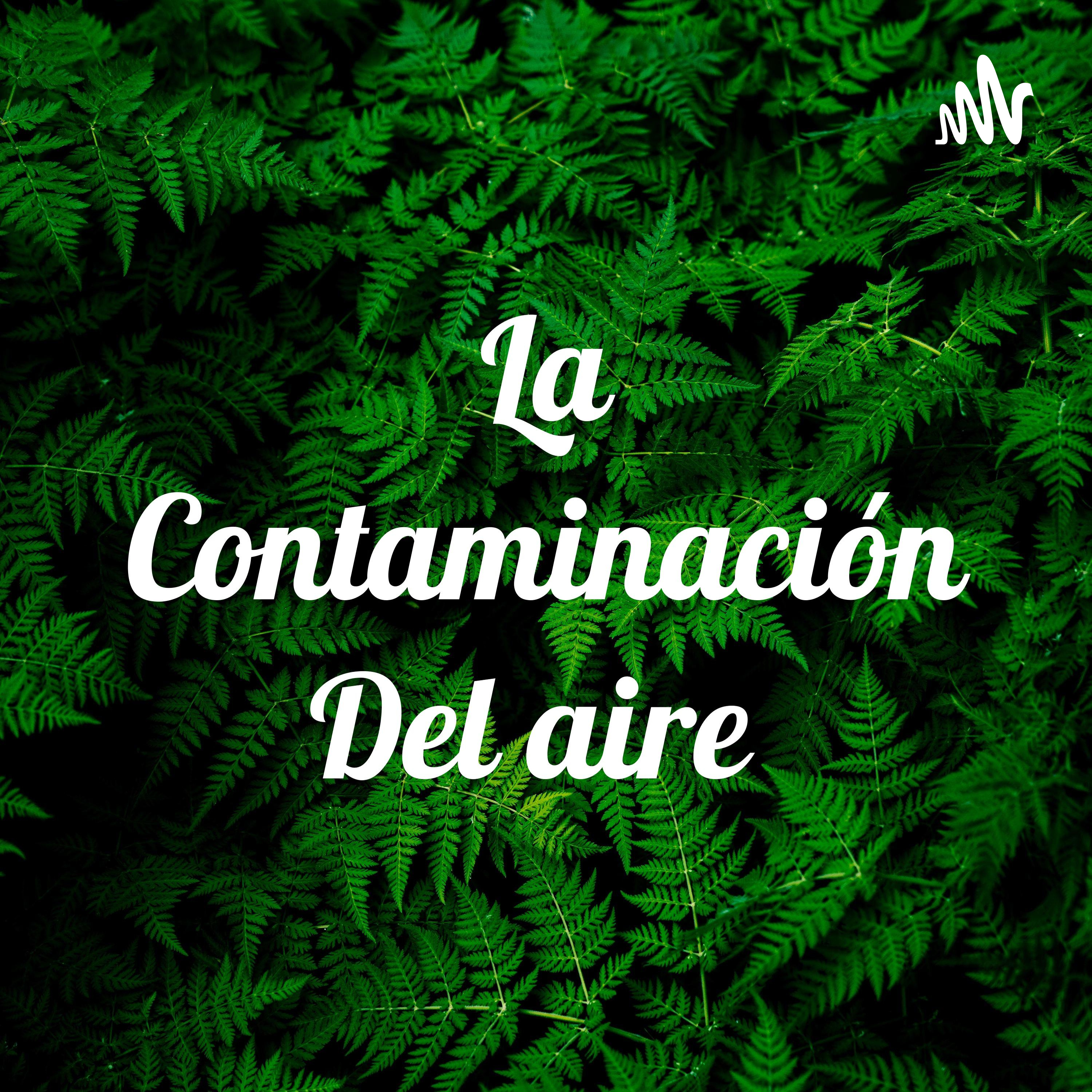 La Contaminación Del aire