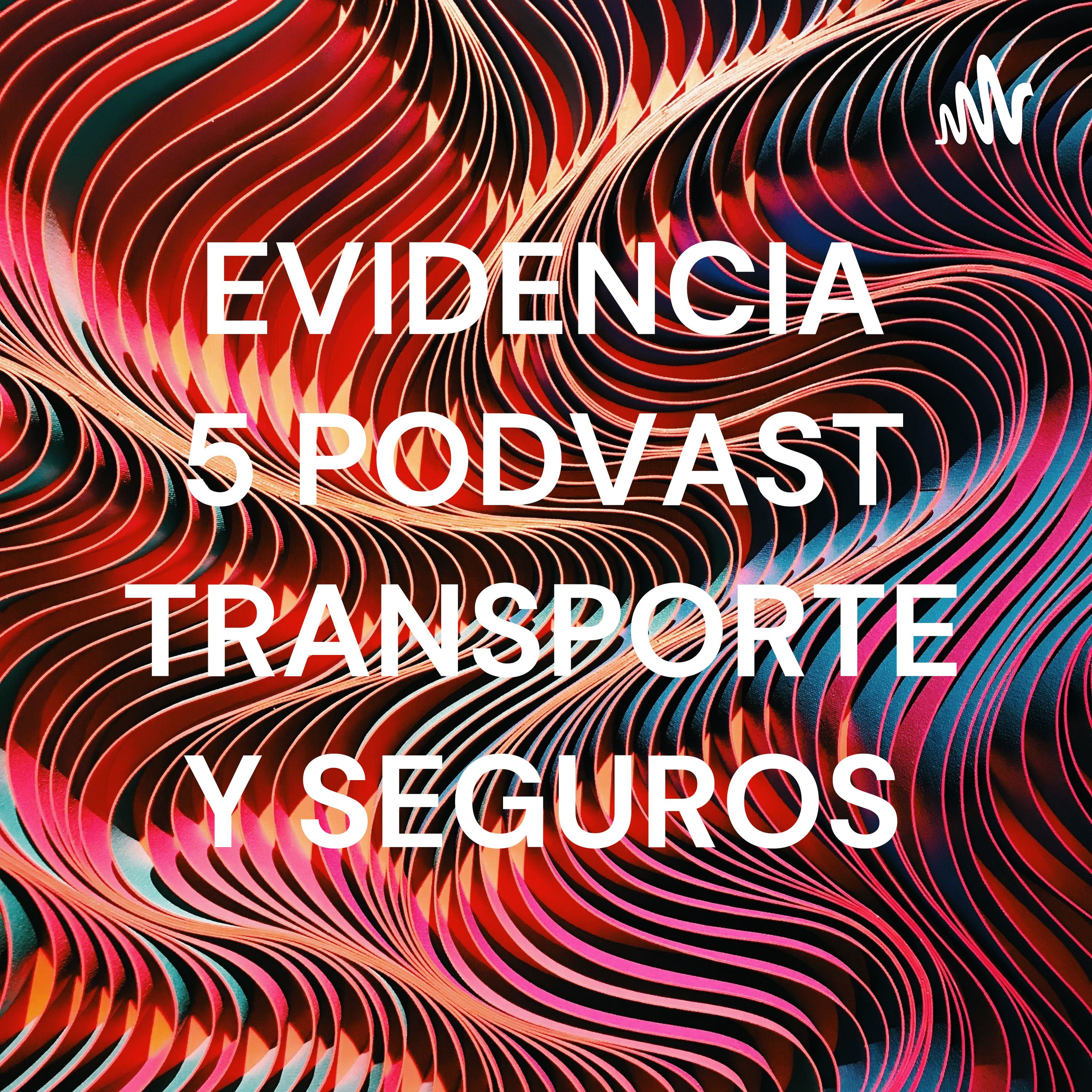 EVIDENCIA 5 PODVAST TRANSPORTE Y SEGUROS