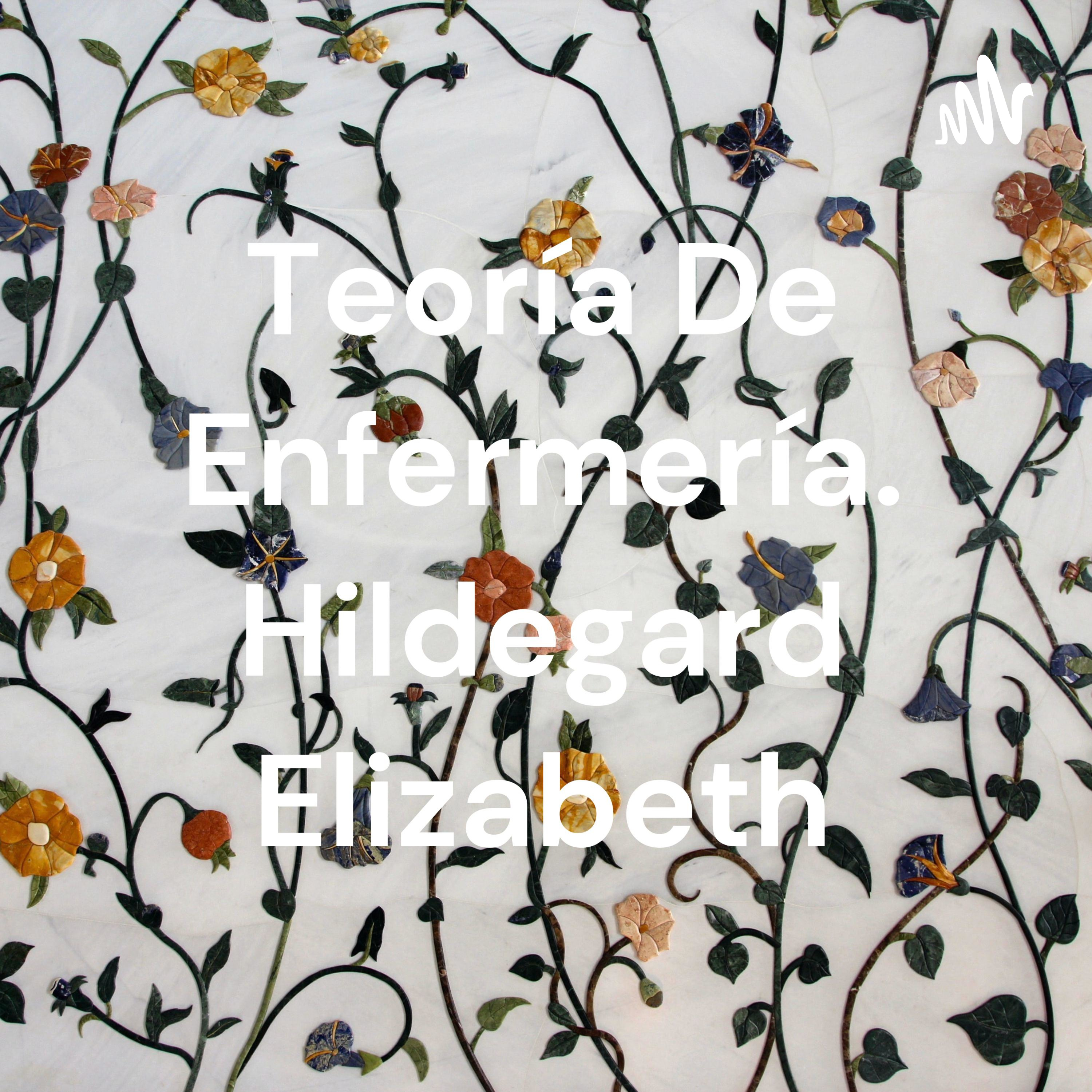 Teoría De Enfermería. Hildegard Elizabeth