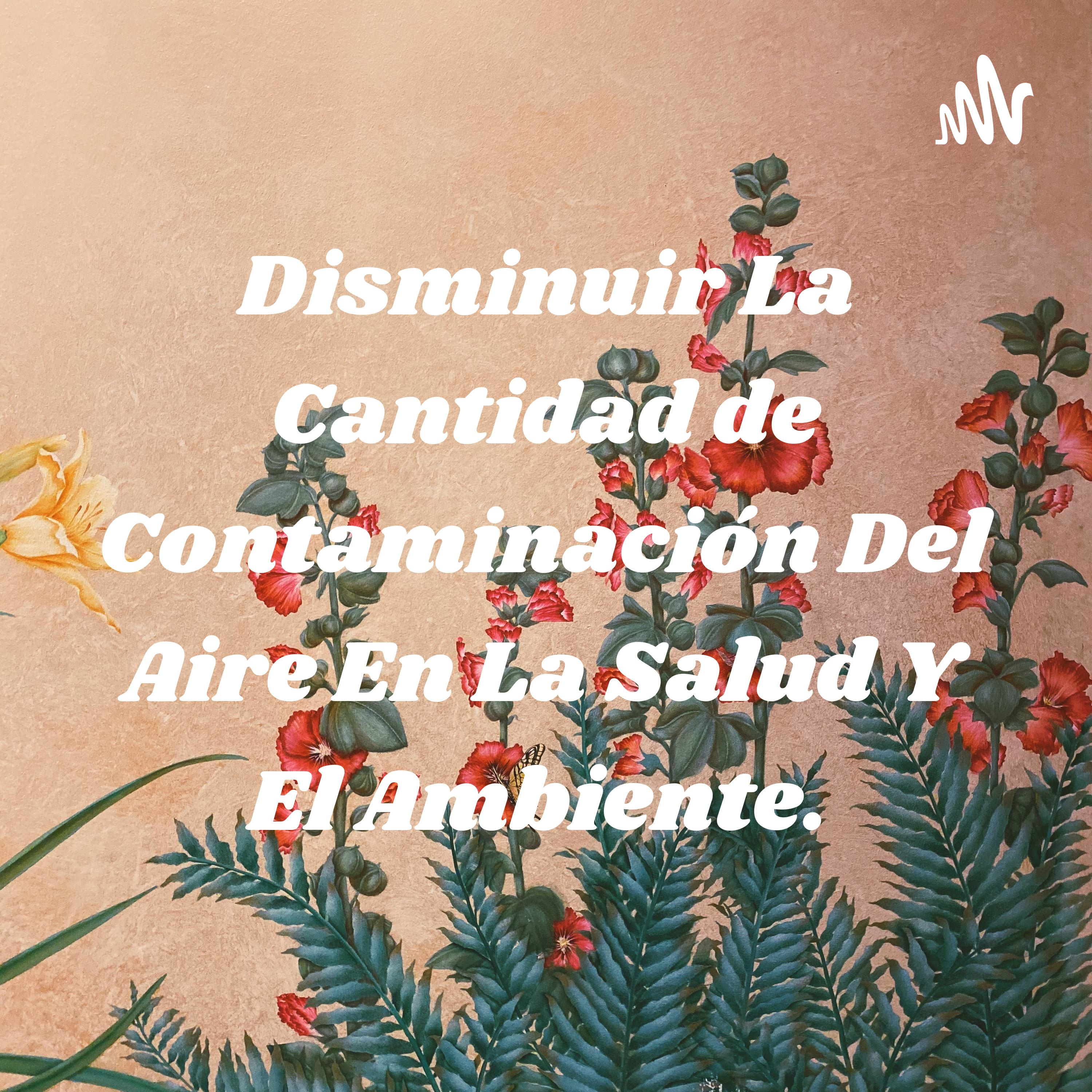 Disminuir La Cantidad de Contaminación Del Aire En La Salud Y El Ambiente.