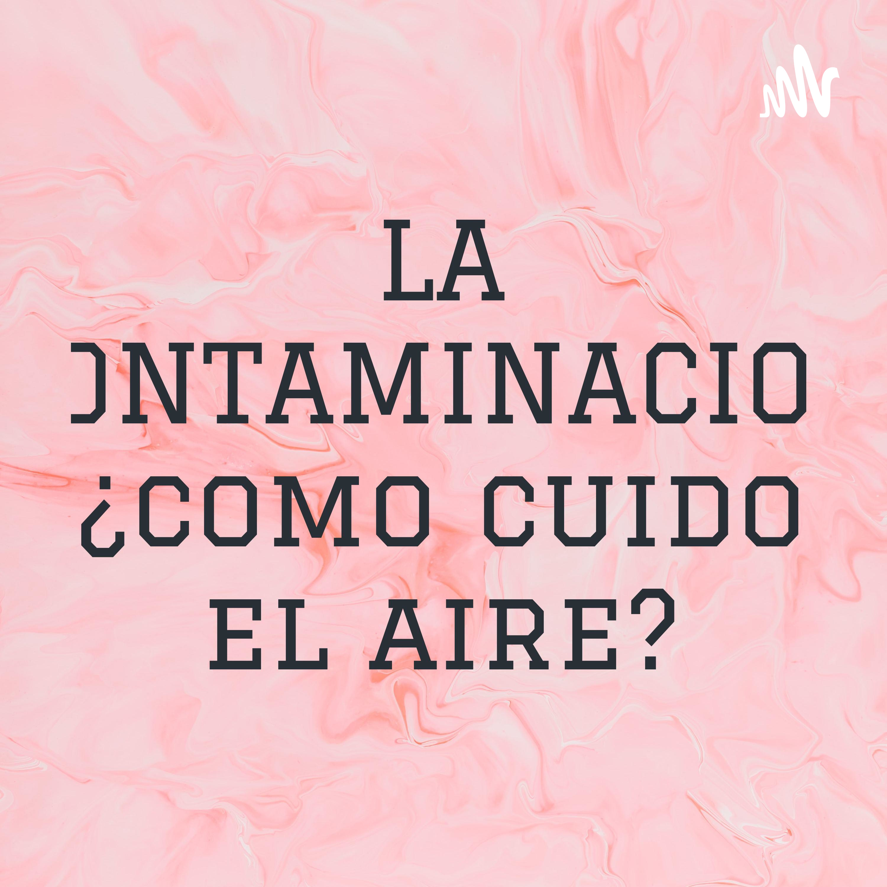 LA CONTAMINACION ¿como cuido el aire?