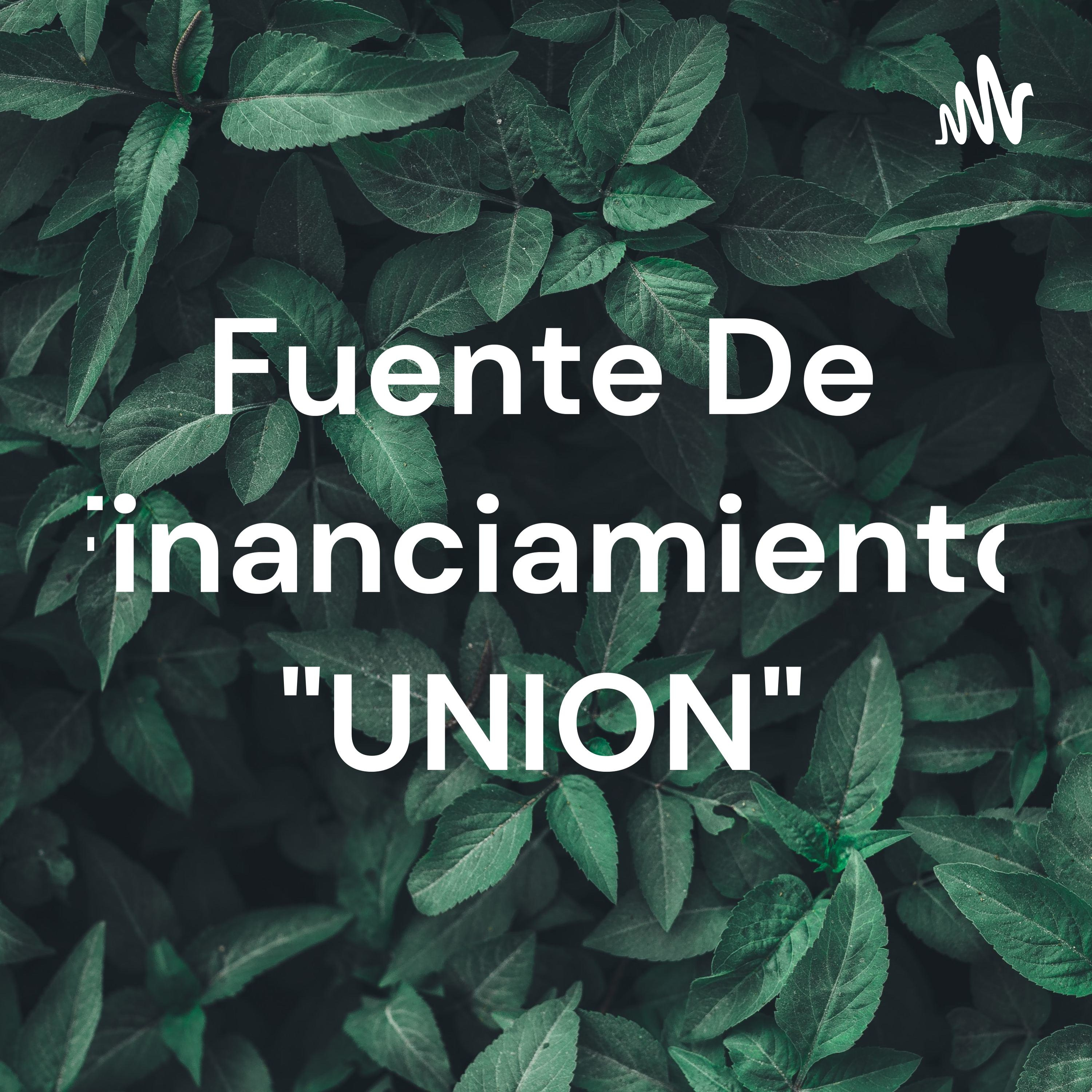 Fuente De Financiamiento "UNION"