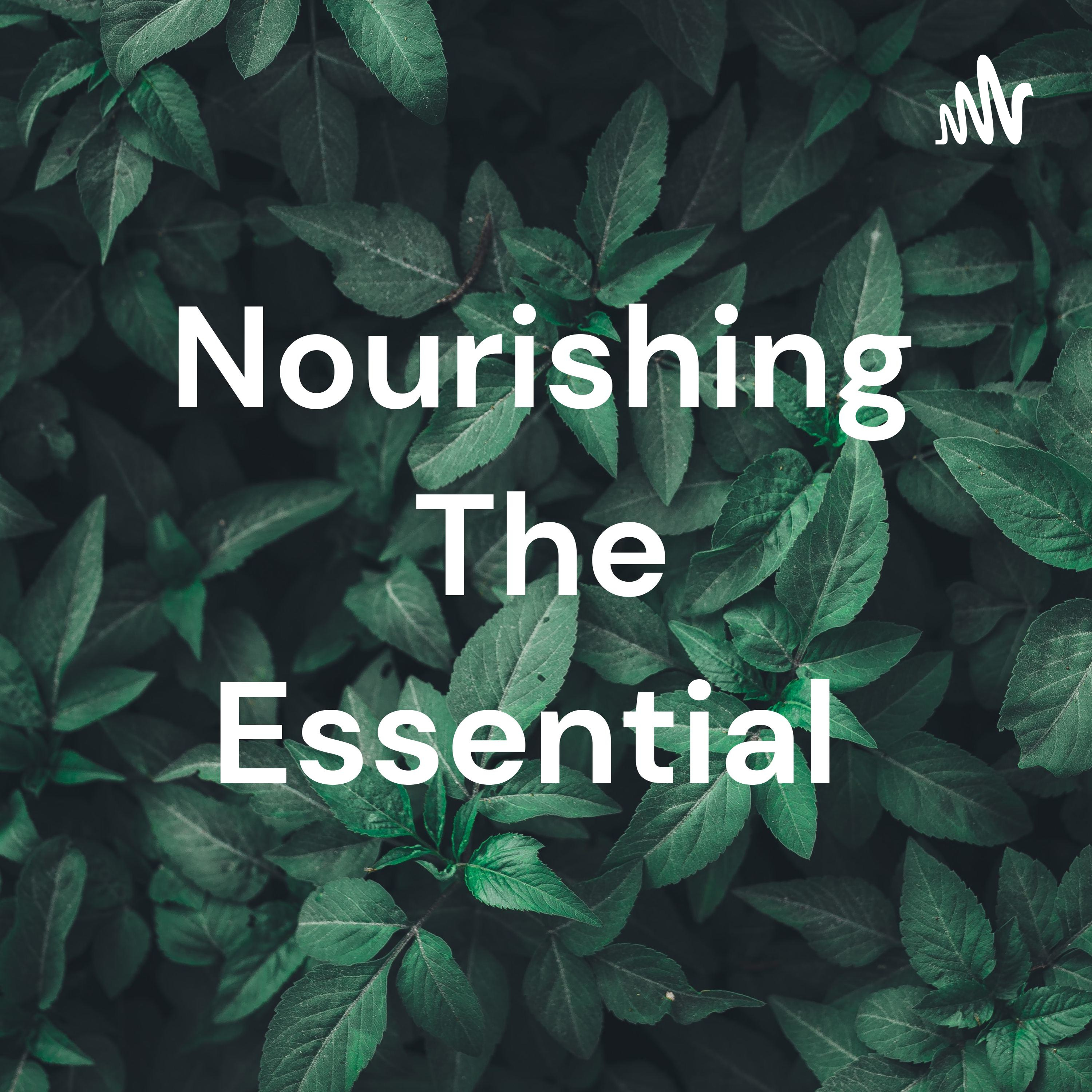 Nourishing The Essential 