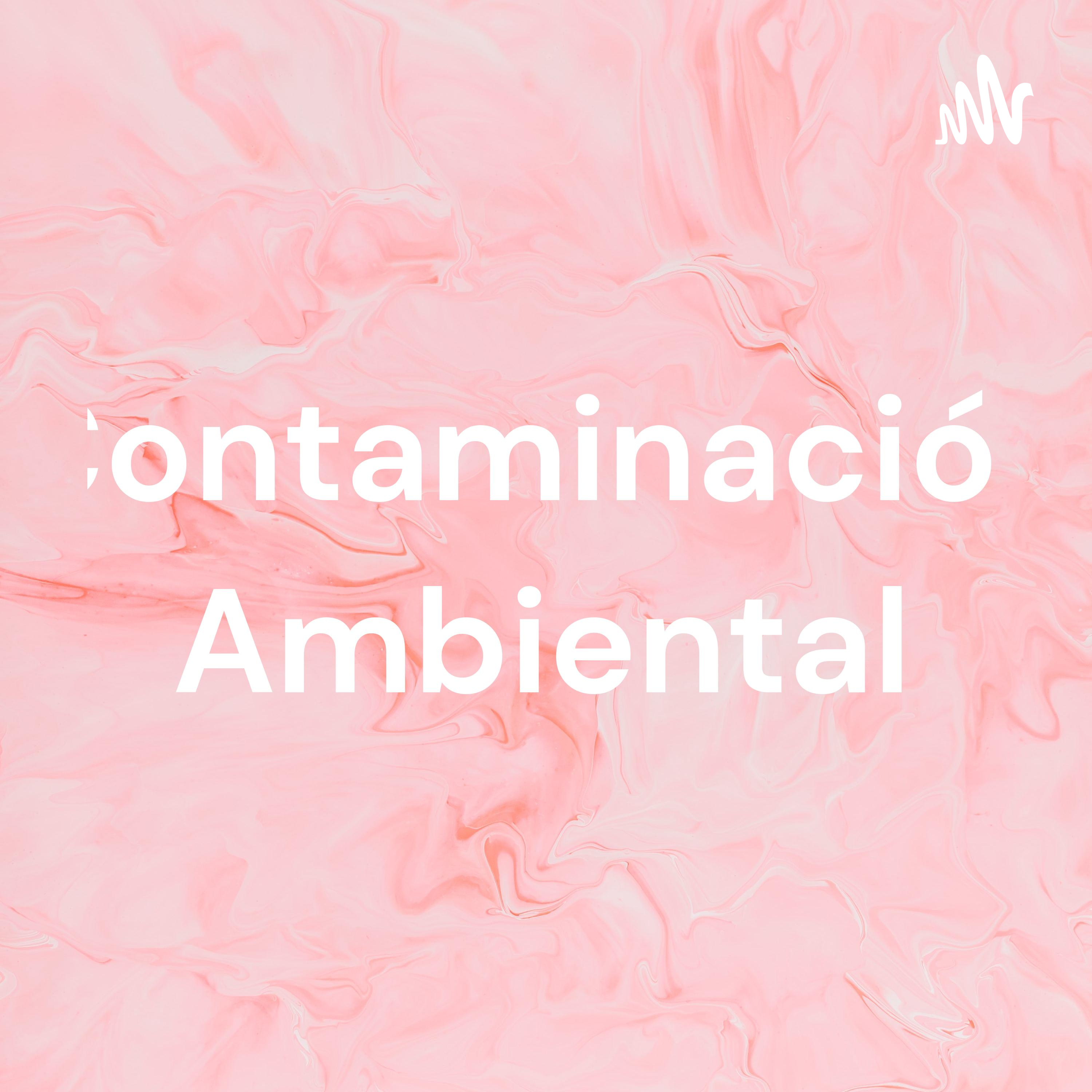 Contaminación Ambiental