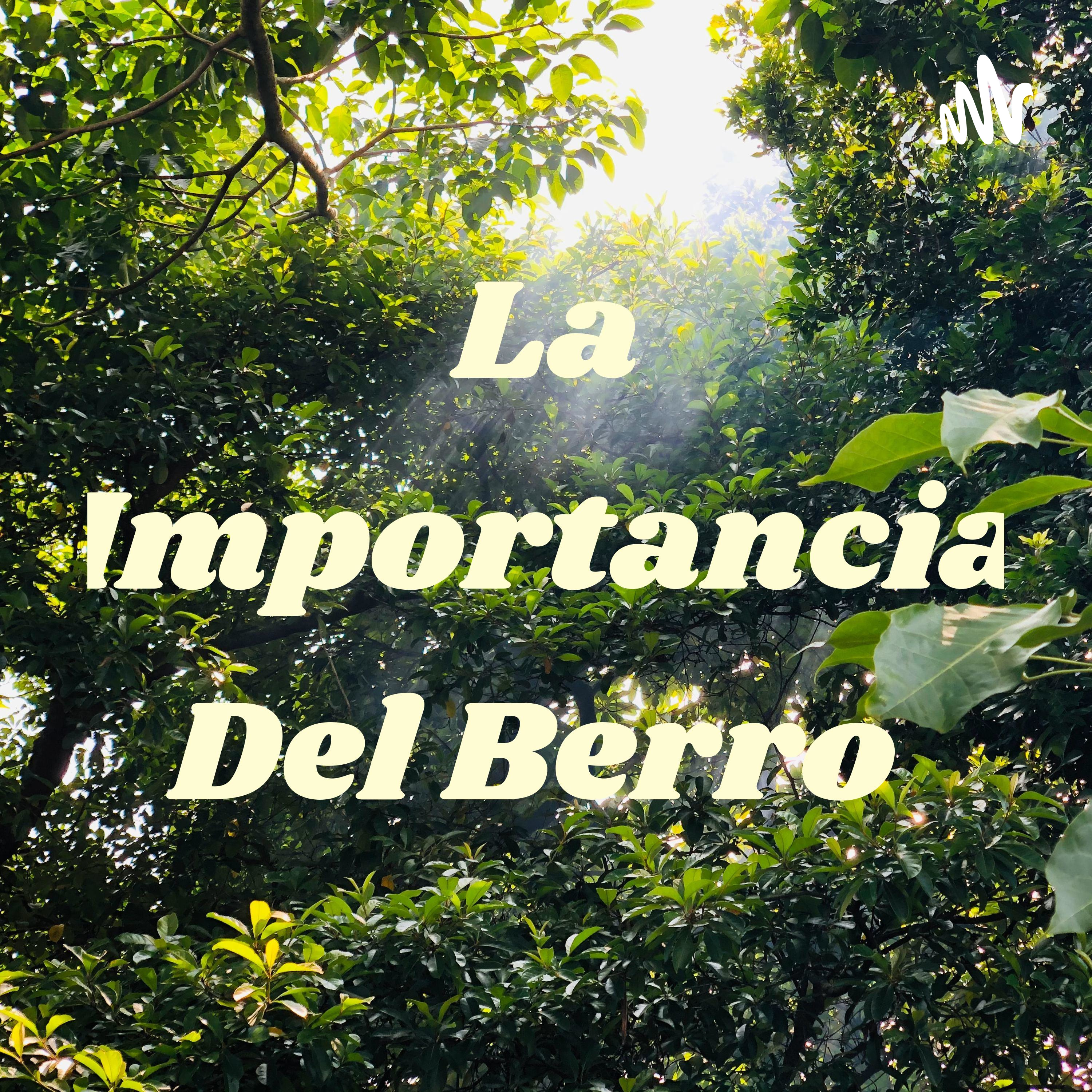 La Importancia Del Berro podcast artwork