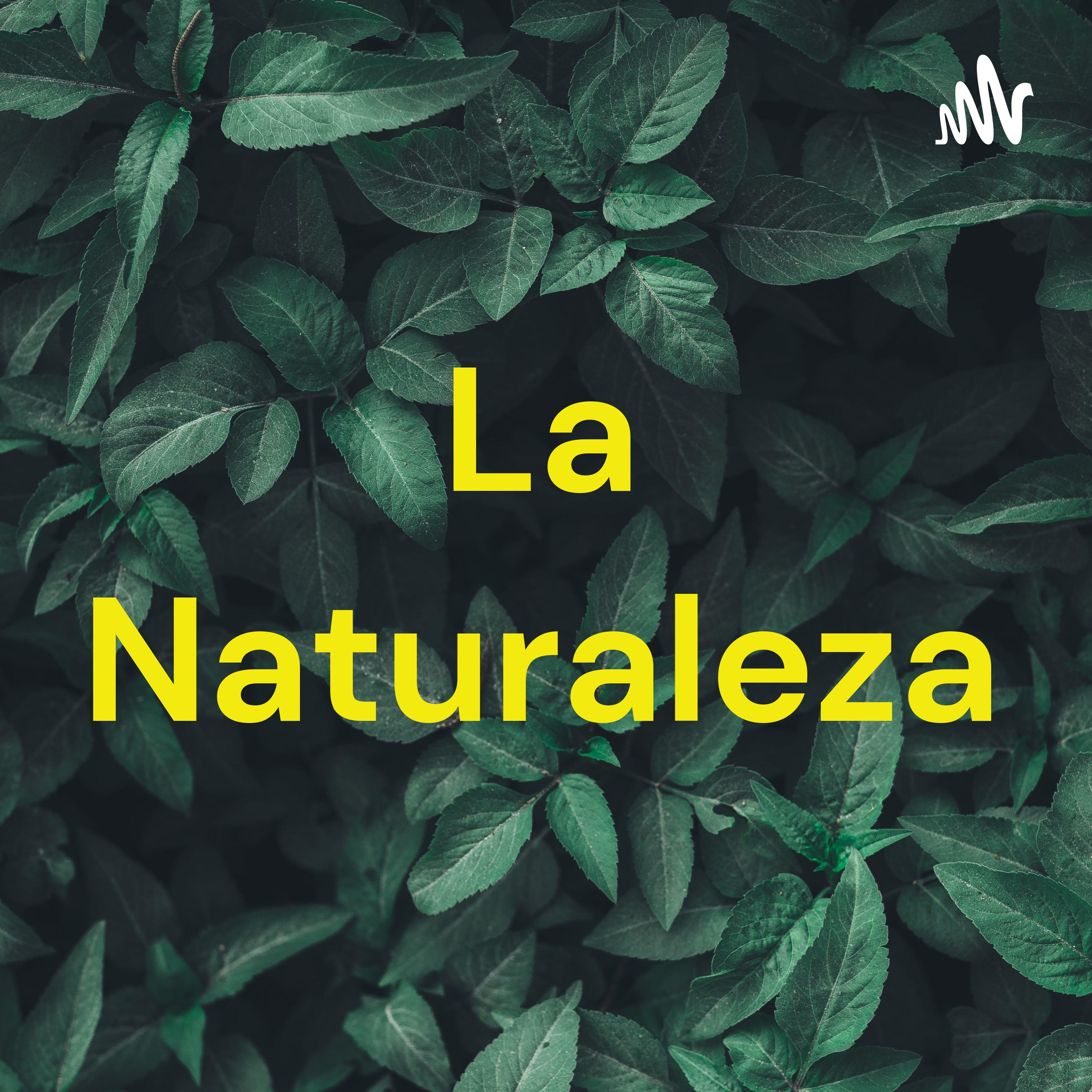 La Naturaleza