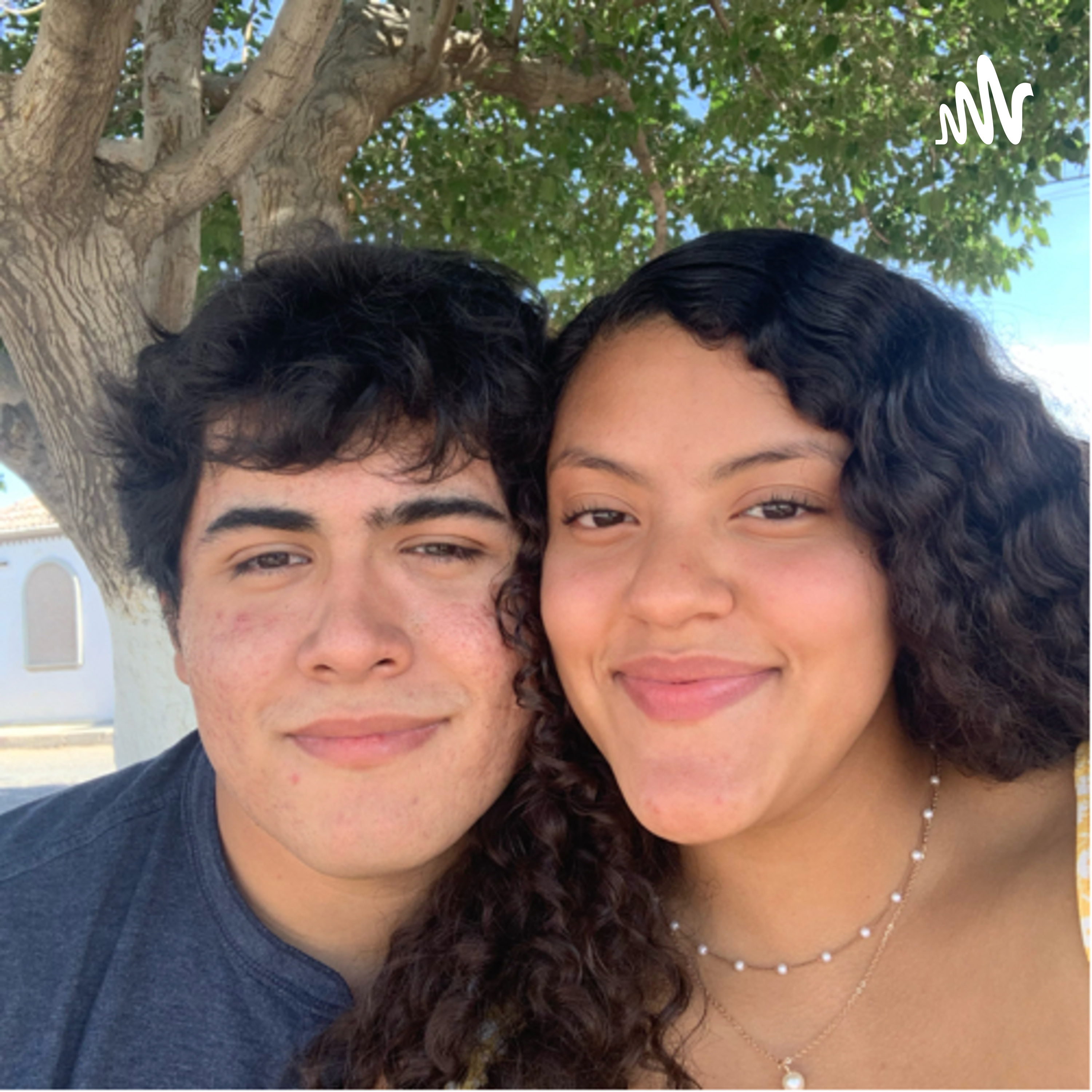 Ser un estudiante en pandemia