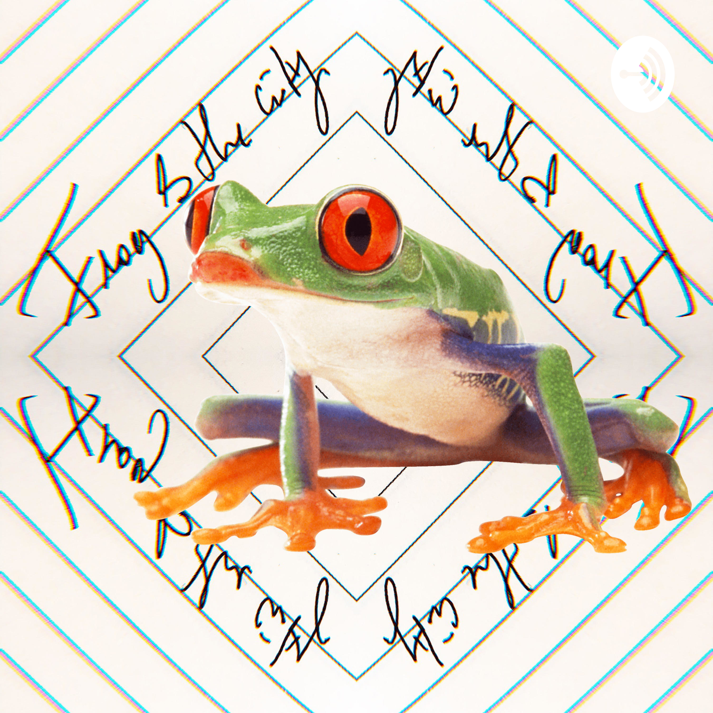 Frog & The City