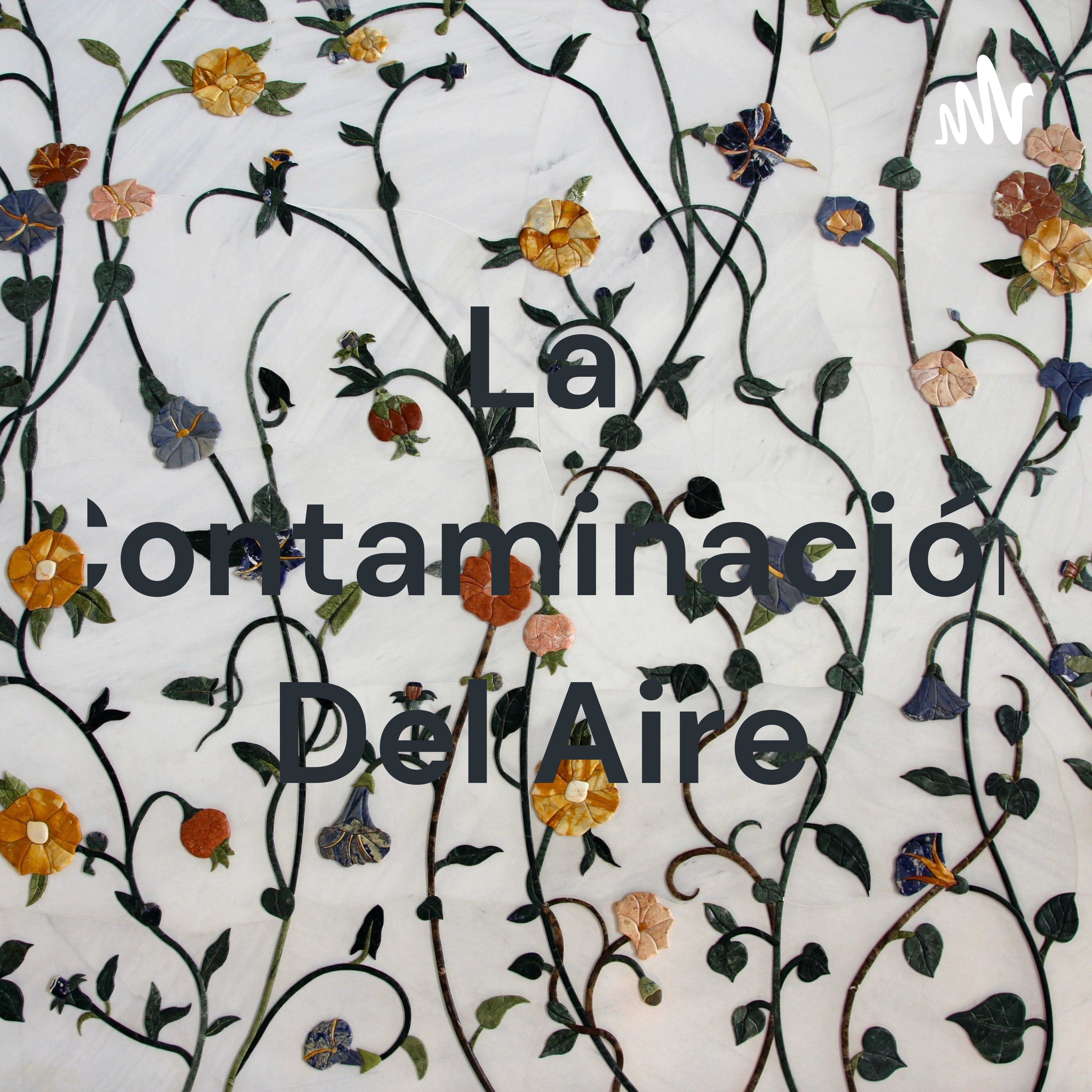 La Contaminación Del Aire