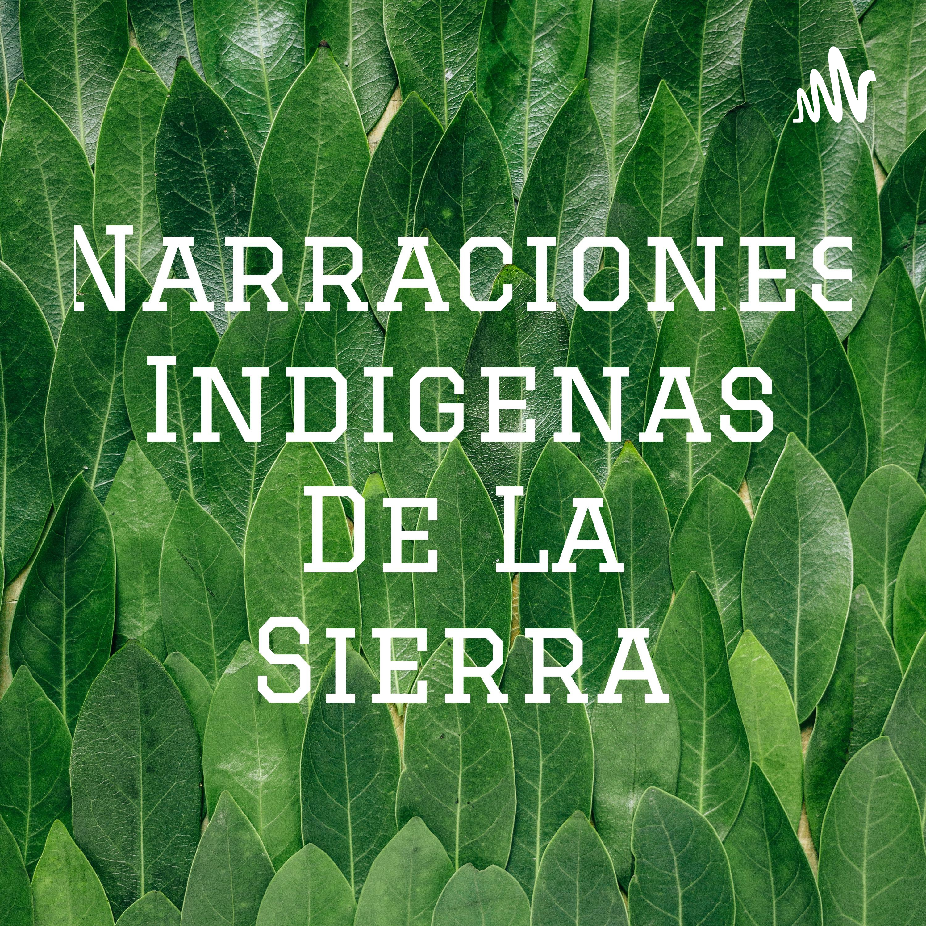 Narraciones Indigenas De La Sierra