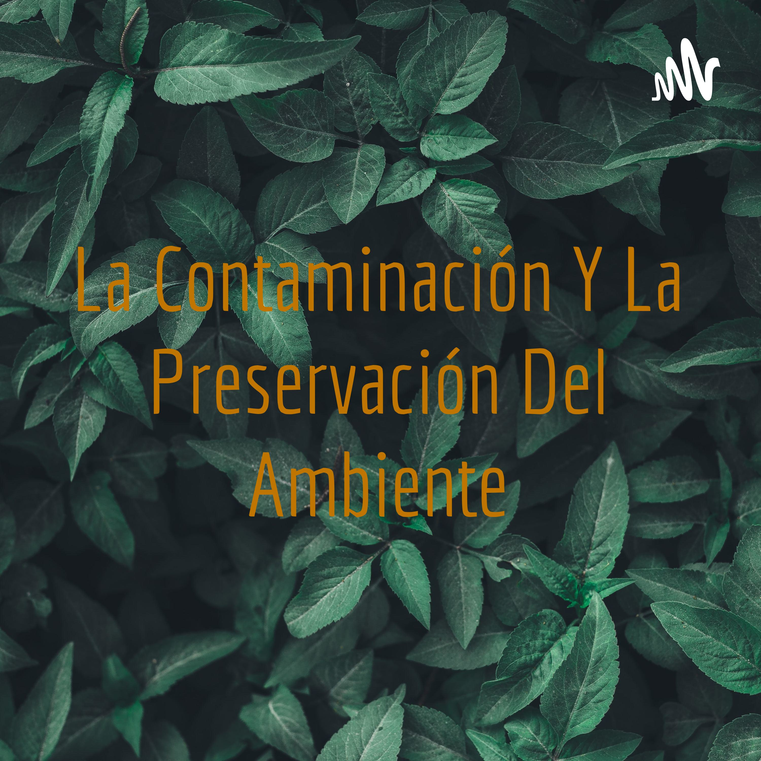 La Contaminación Y La Preservación Del Ambiente