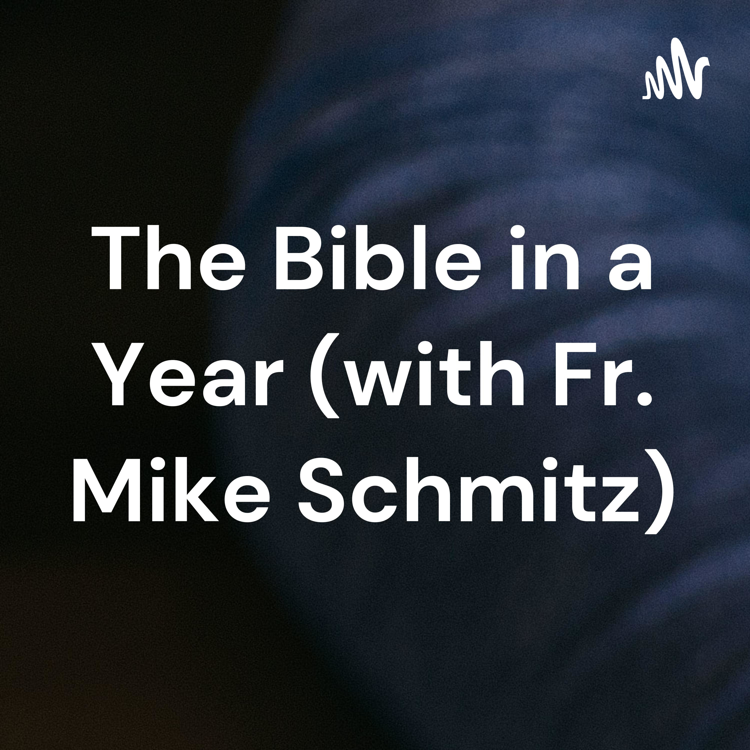 The Bible in a Year (with Fr. Mike Schmitz) cover