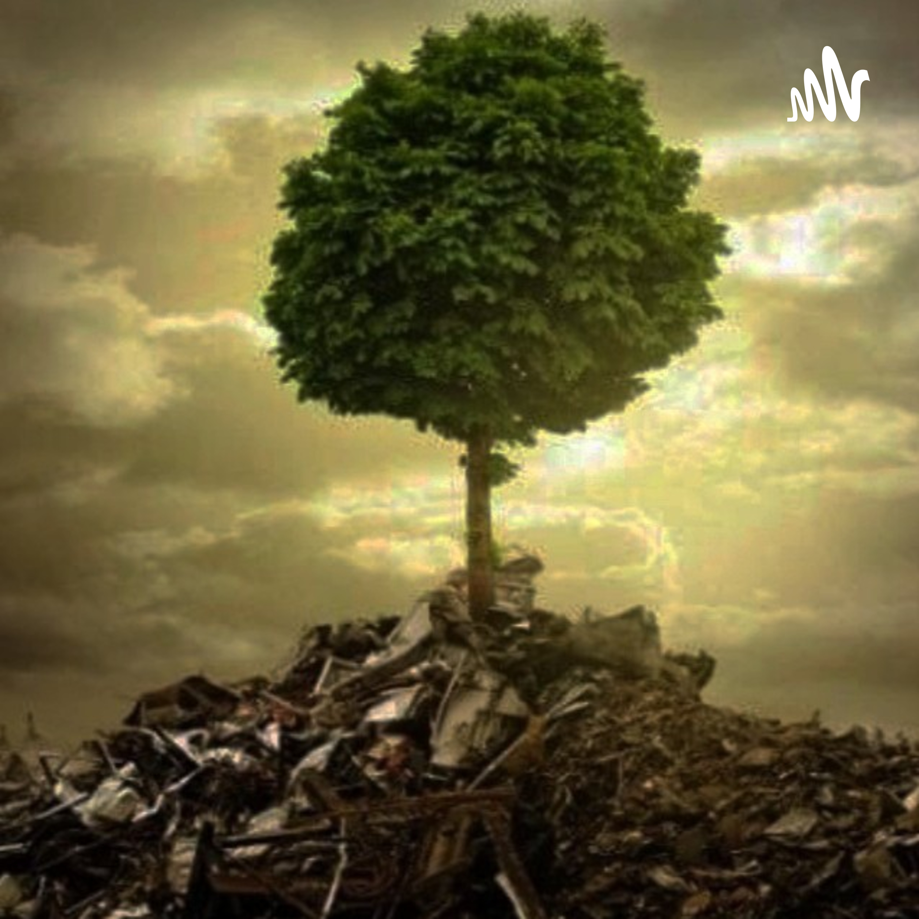 Contaminación Del Suelo