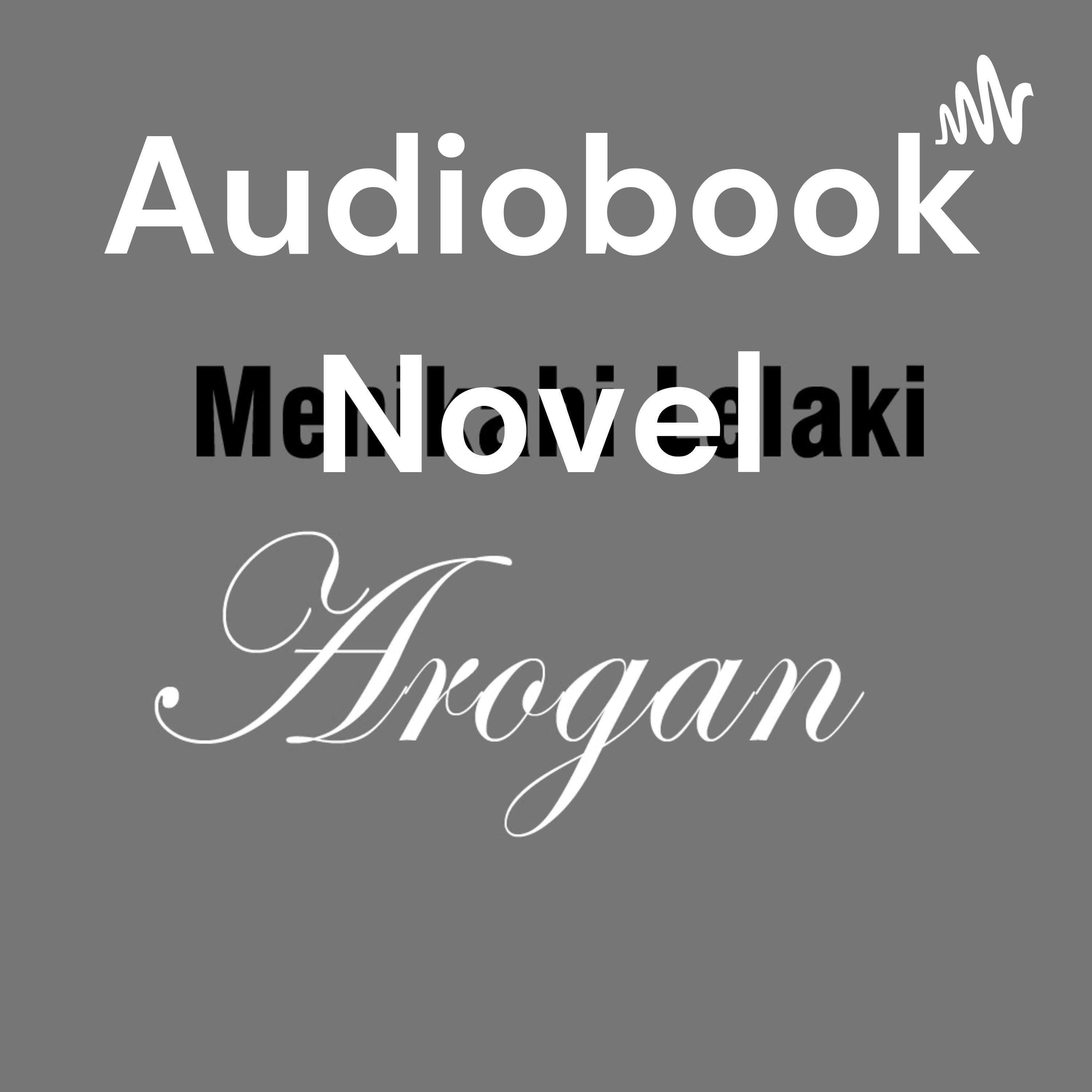 Audiobook Novel