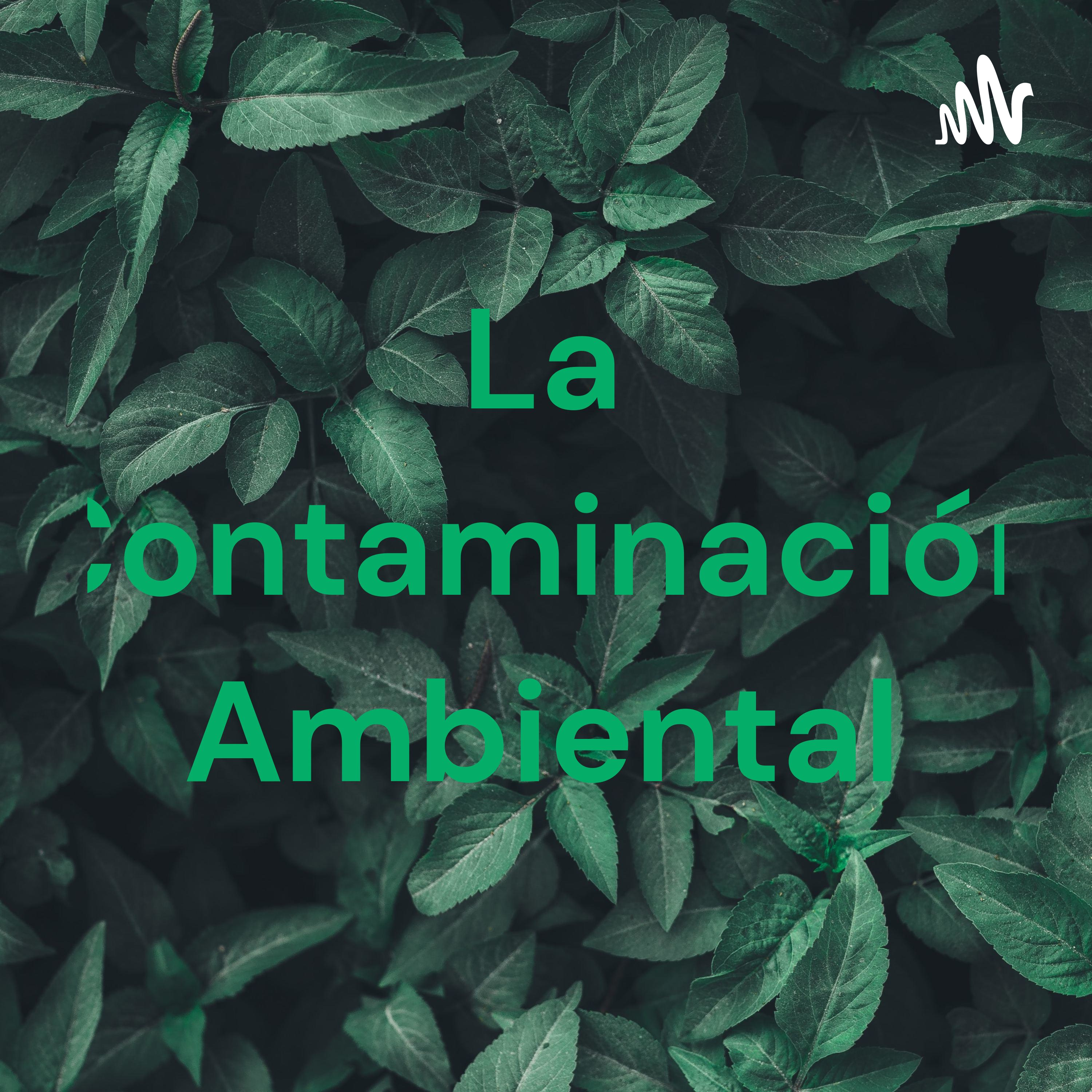 La Contaminación Ambiental