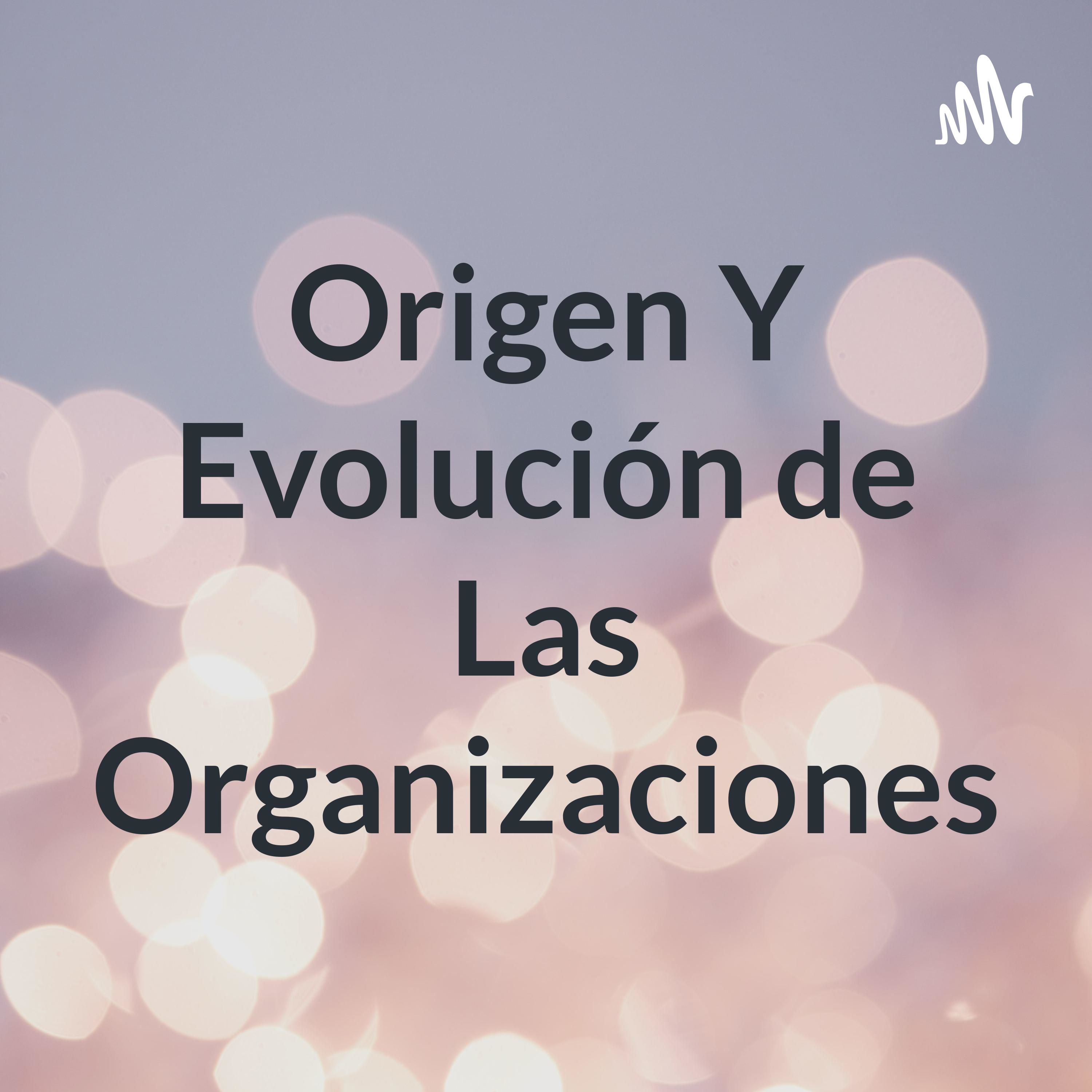 Origen Y Evolución de Las Organizaciones