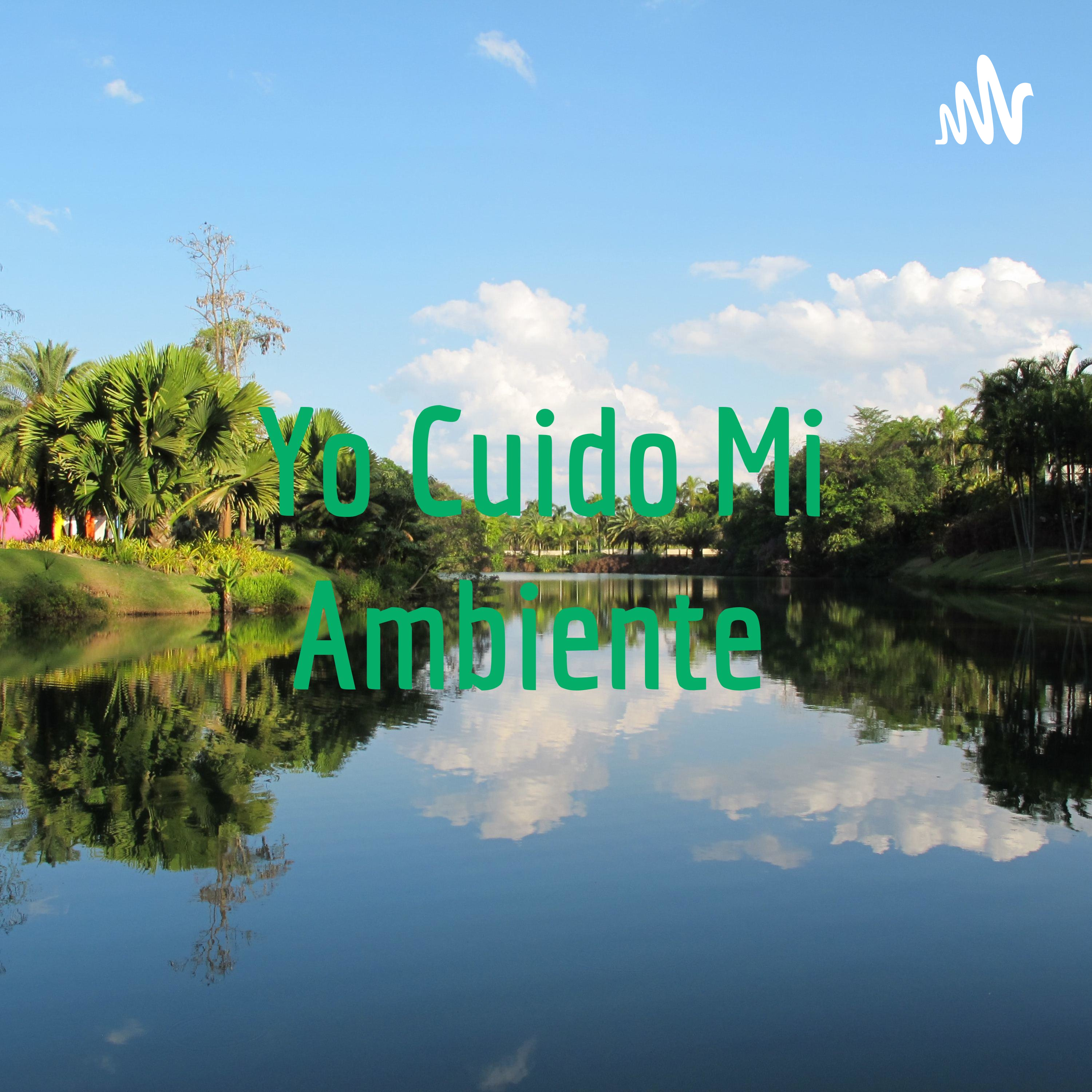 Yo Cuido Mi Ambiente