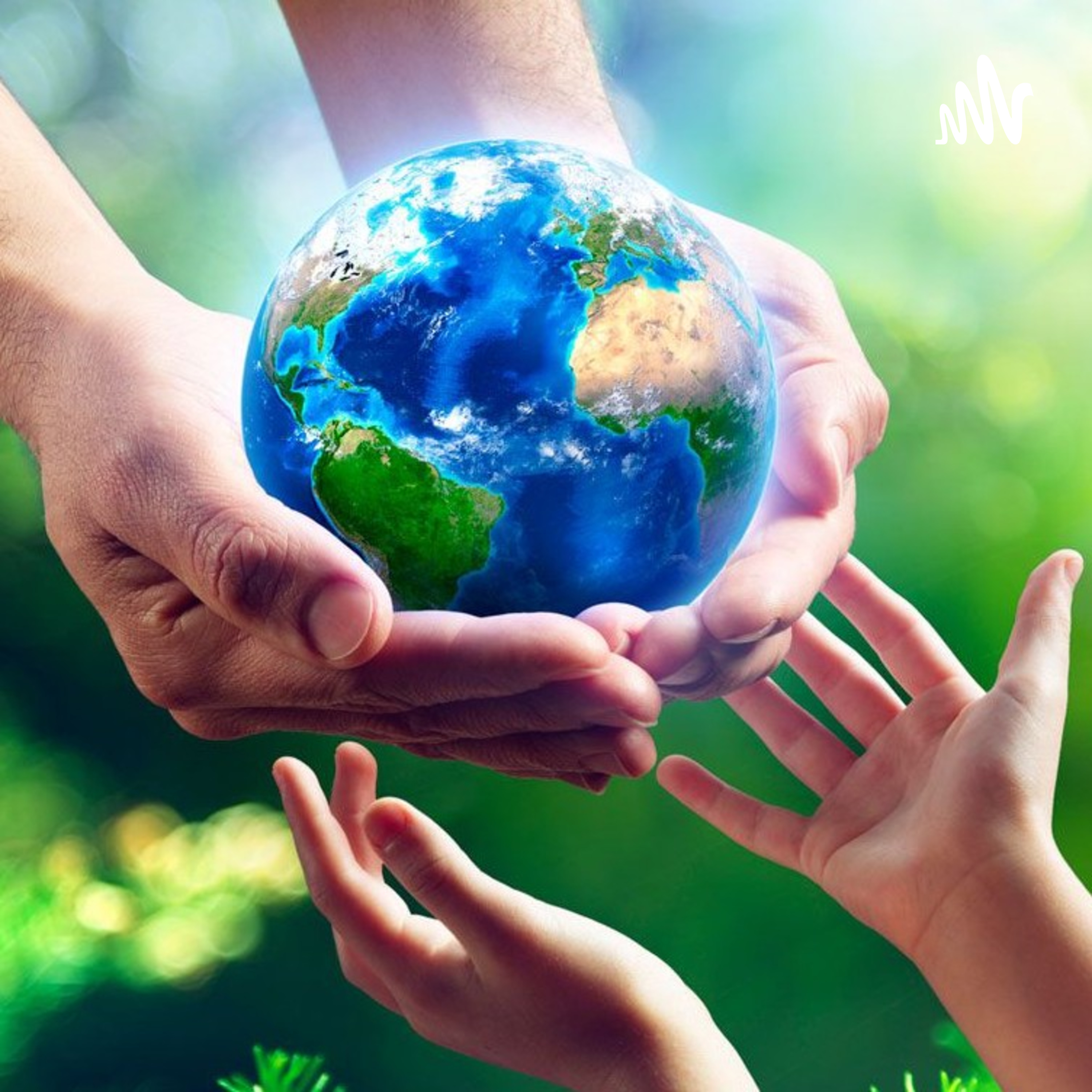 Medio Ambiente 