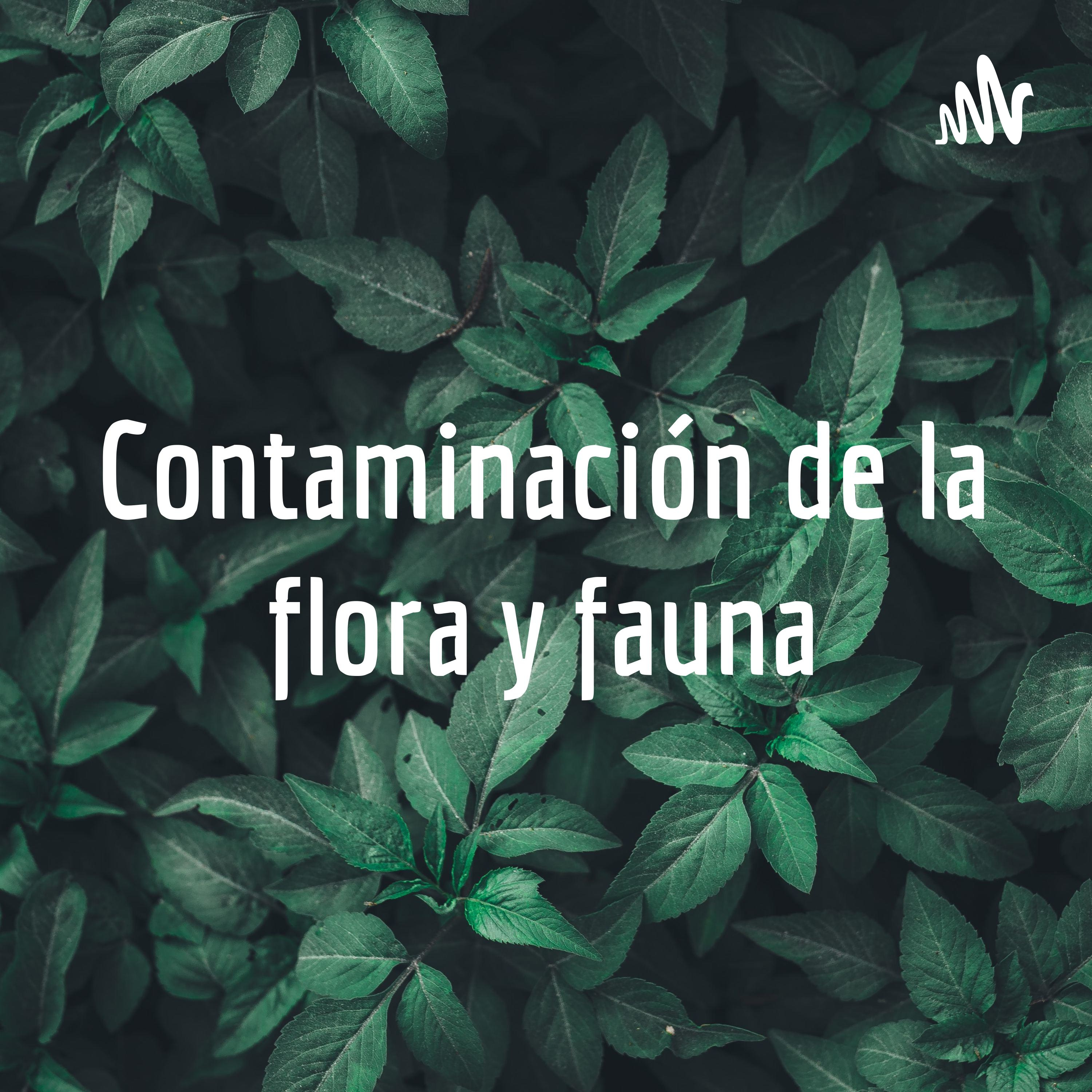 Contaminación de la flora y fauna