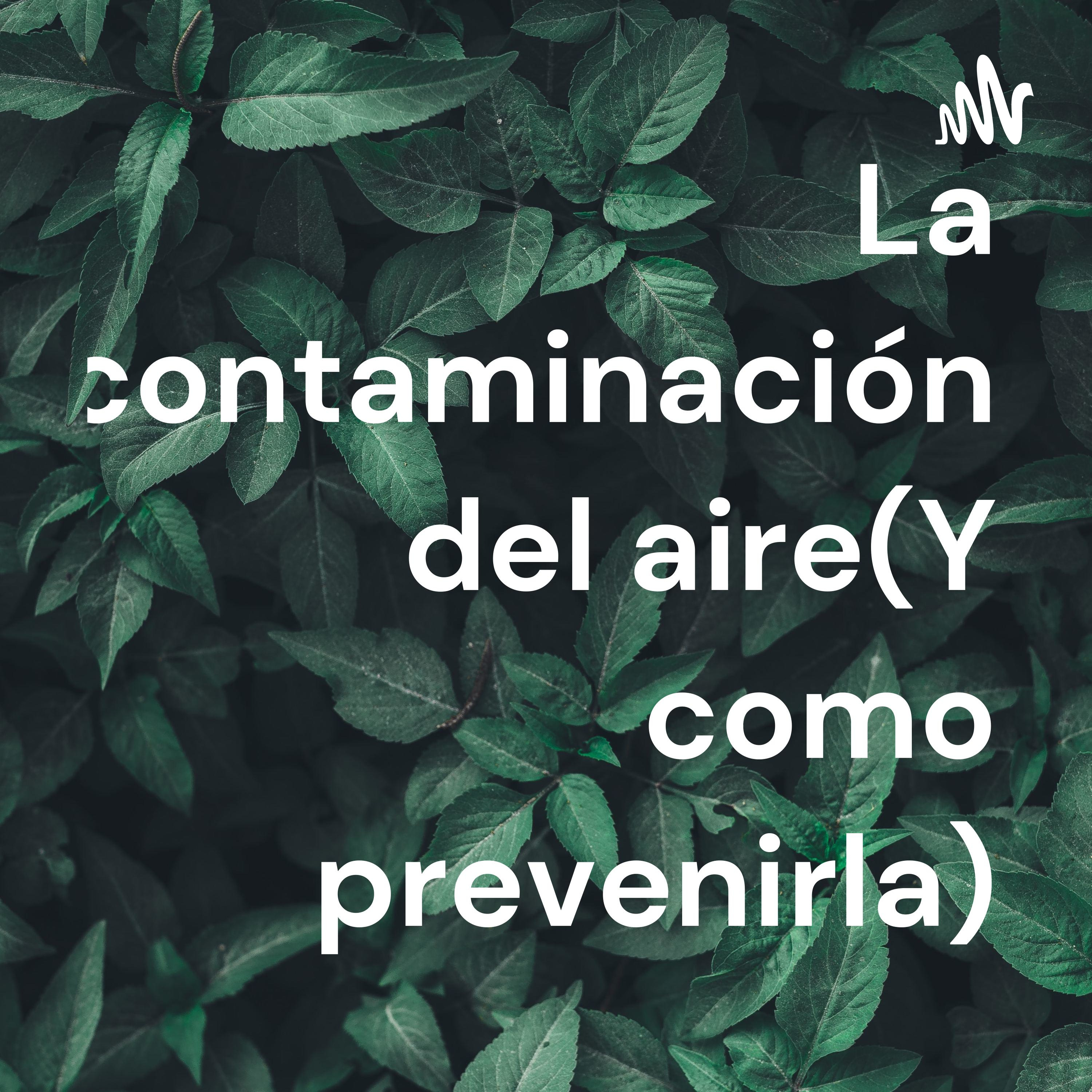 La contaminación del aire(Y como prevenirla)
